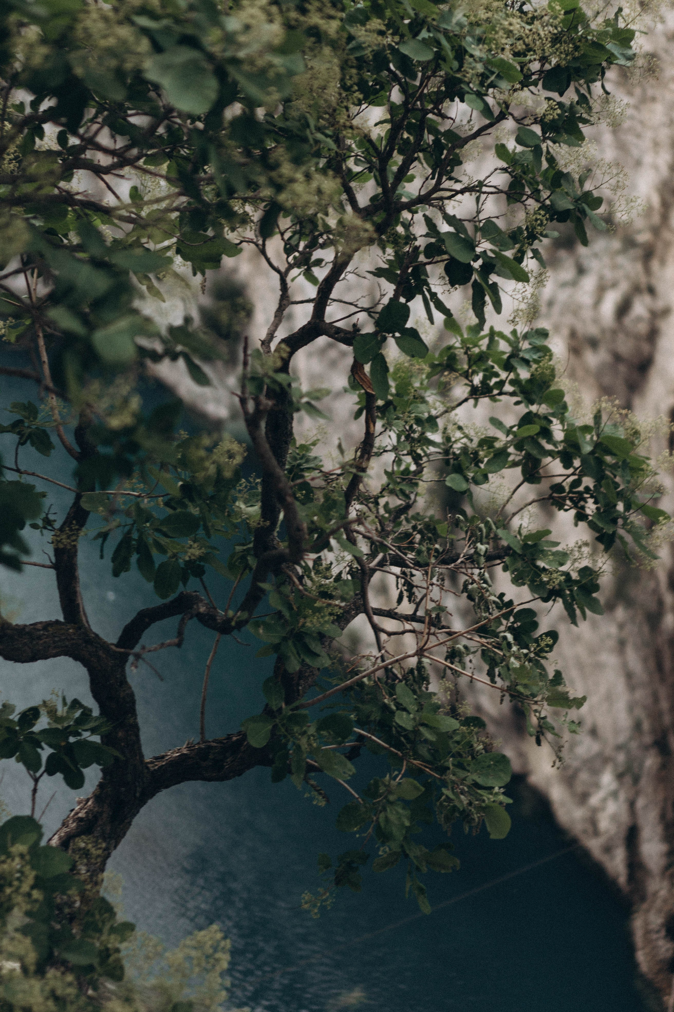 Кавказ. Профессиональный фотограф, Санкт-Петербург — Виктория Богомолова