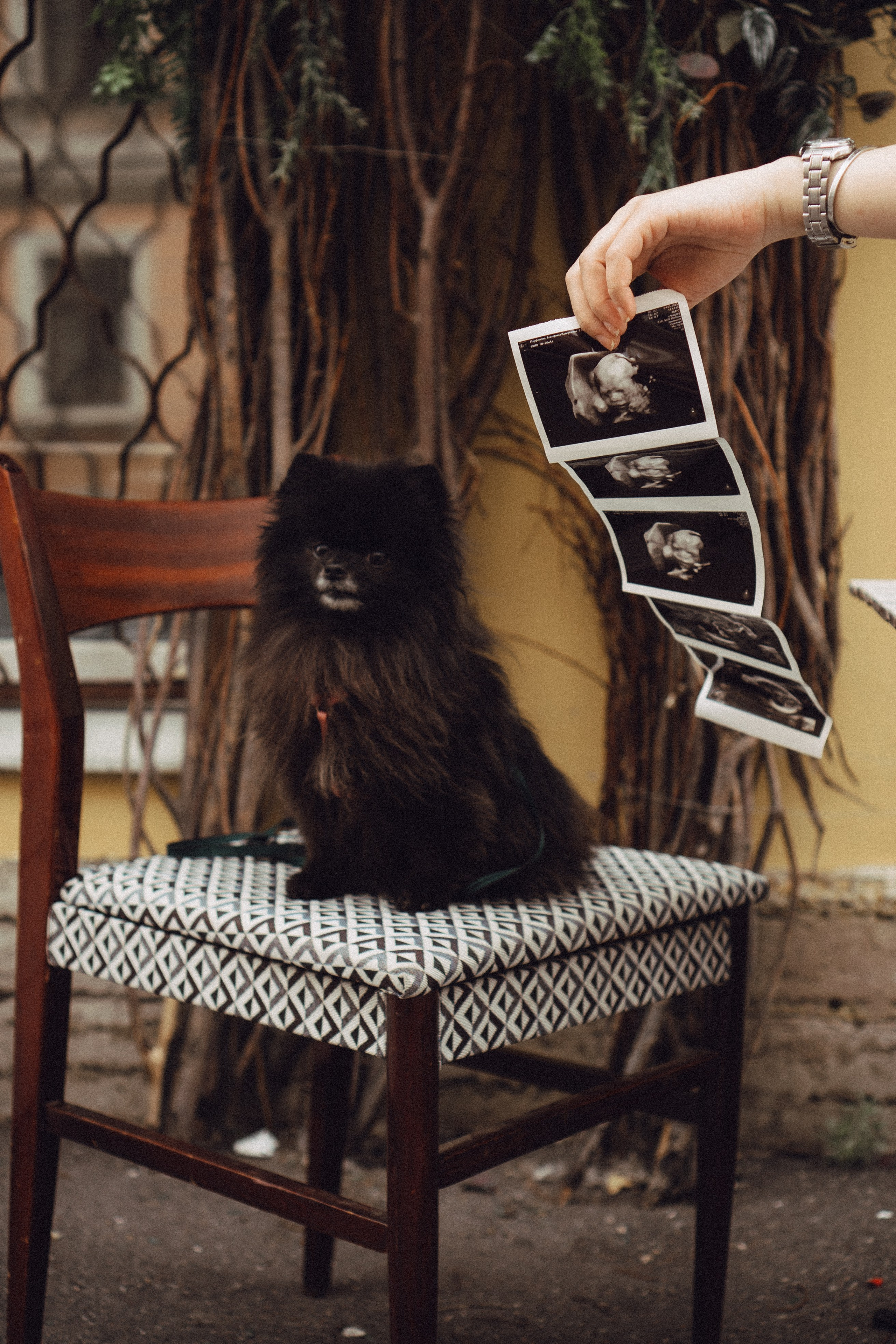 Беременность (только часть фото по желанию клиентов могу показать)). Профессиональный фотограф, Санкт-Петербург — Виктория Богомолова