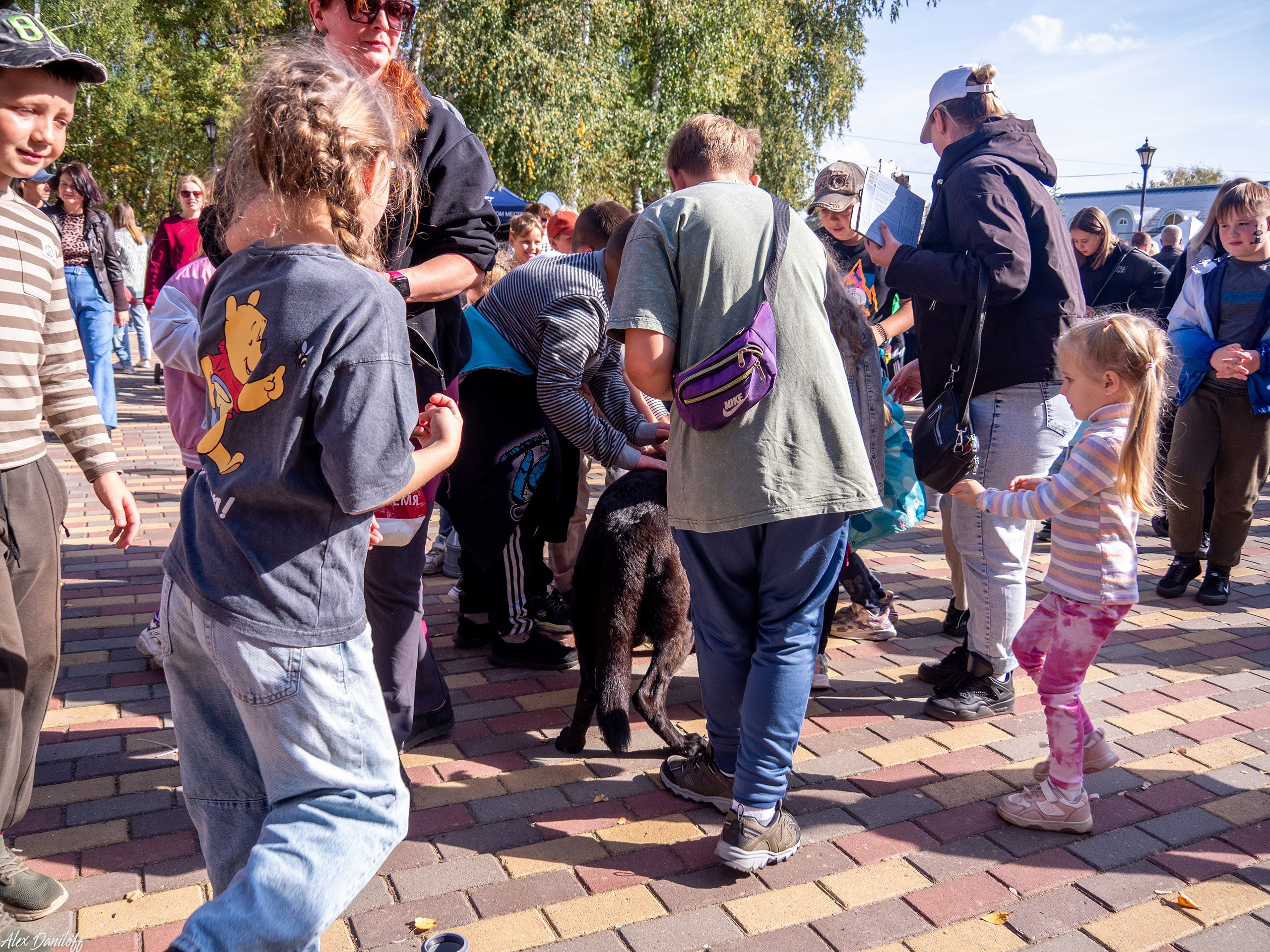 Обнимака 2025. Муром-Инфо. Новости культуры, образования, спорта в городе Муром