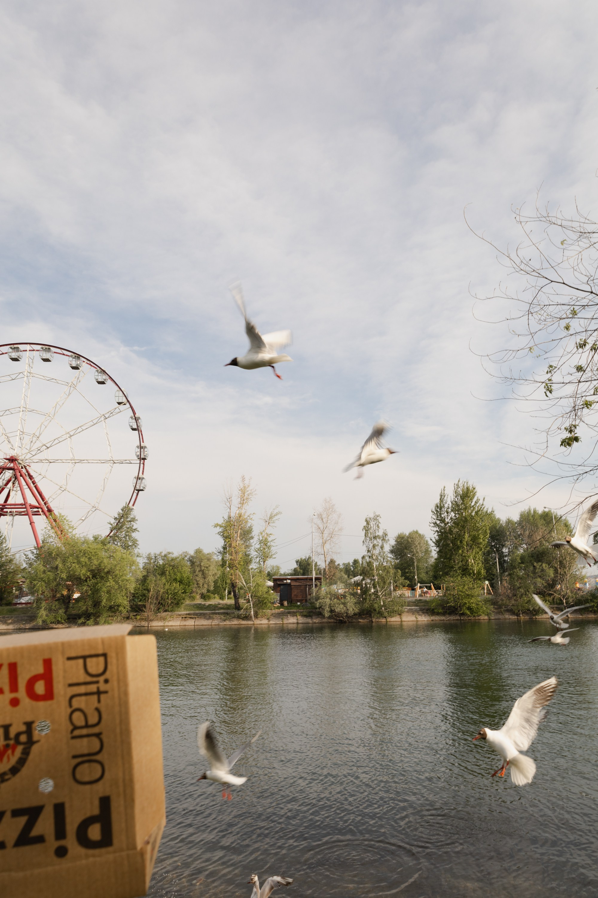 Контент съемка для ресторана. Свадебный Фотограф в Иркутске Екатерина Елисеева
