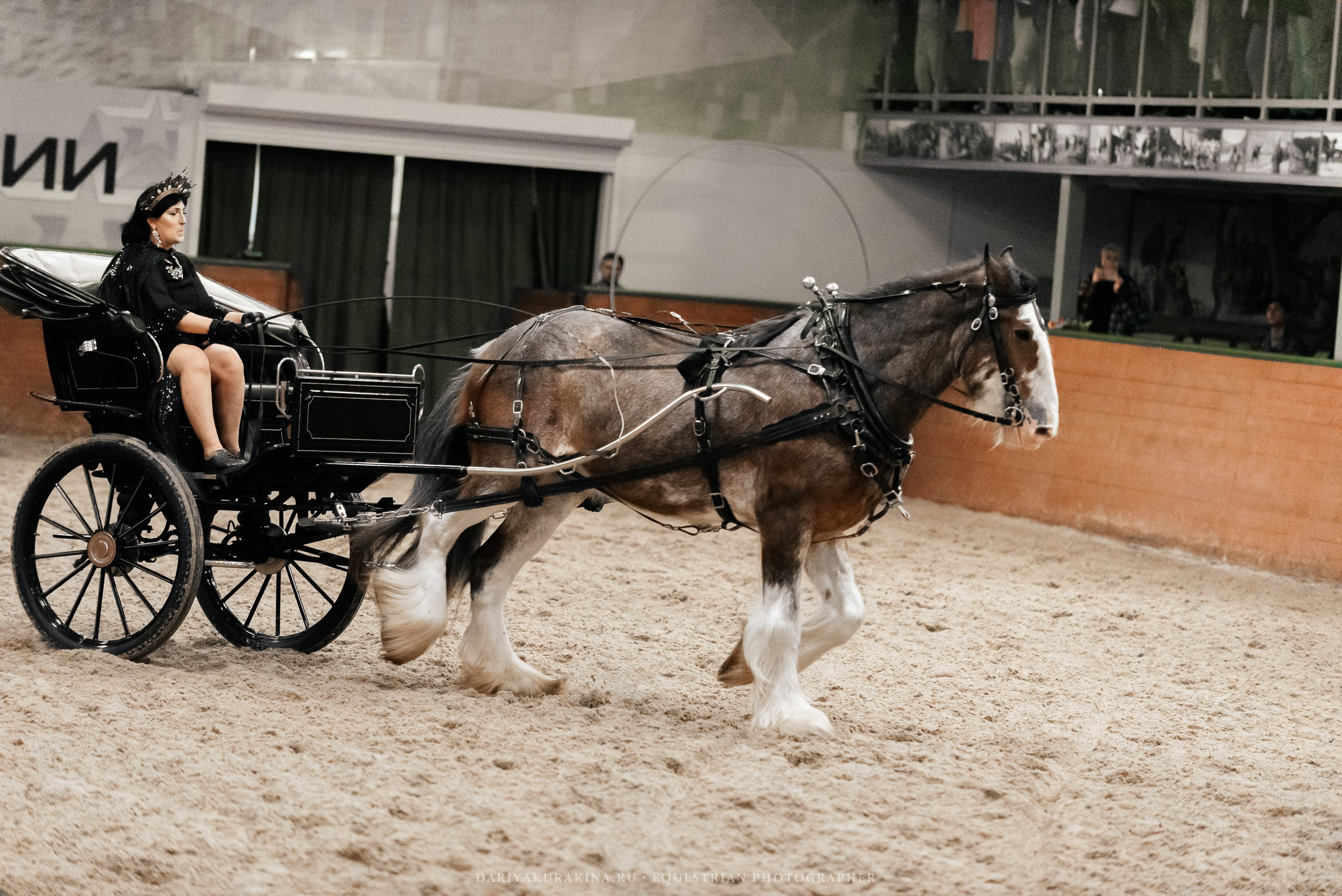 Конное представление «Дыхание Звёзд». Конный фотограф Куракина Дарья • Фотосессии с лошадьми