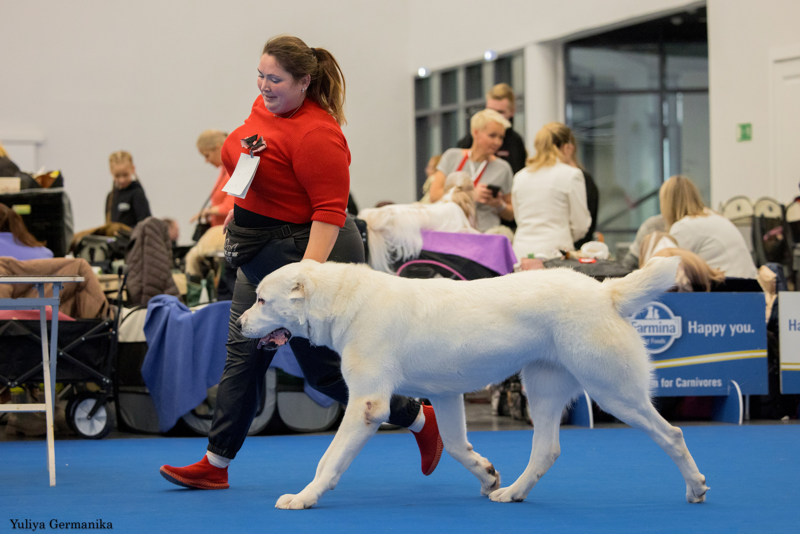 Нижний Новгород 21-22.10.2023. Фотограф-анималист Юлия Германика