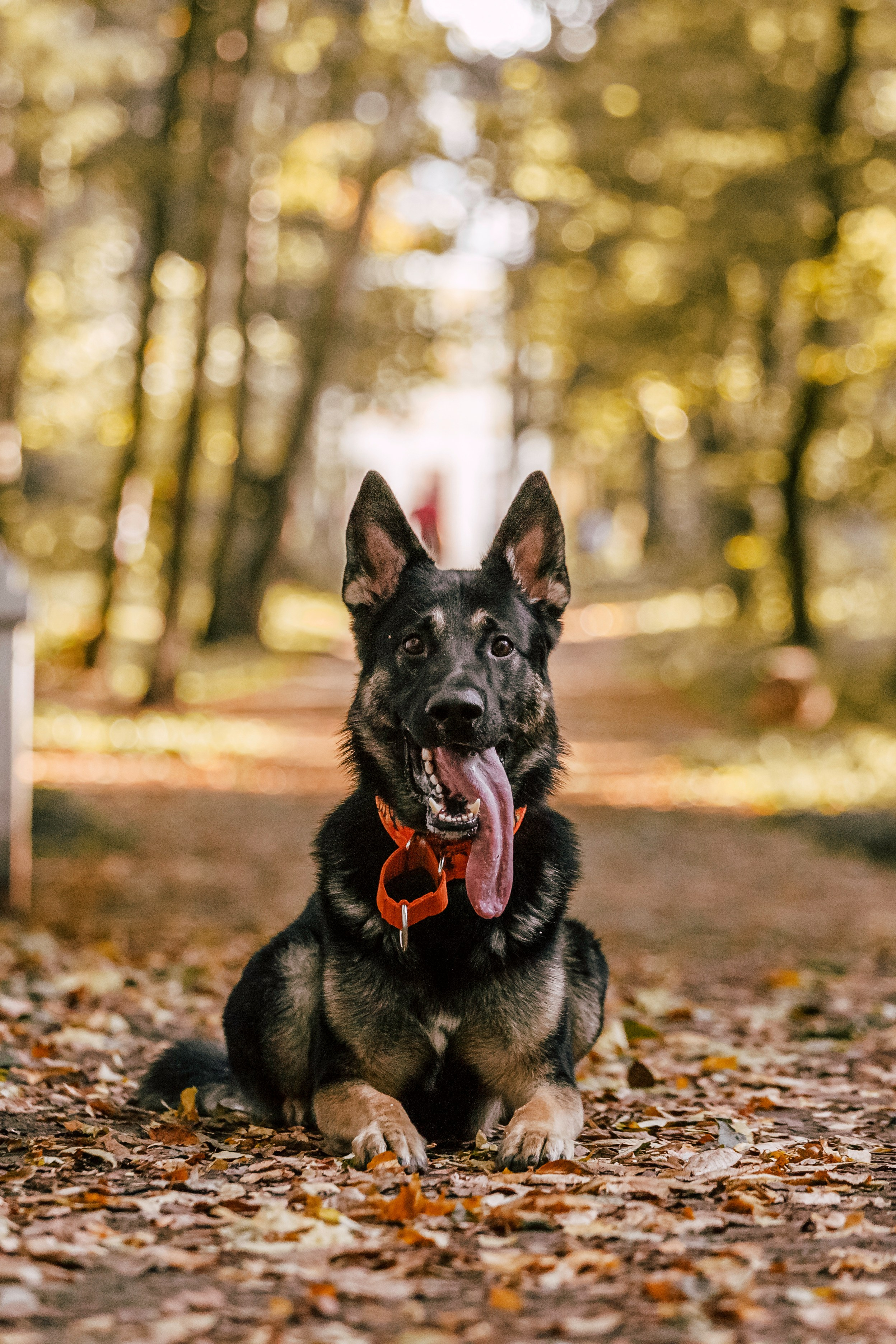 Илай. Фотограф-анималист Татьяна Степанова