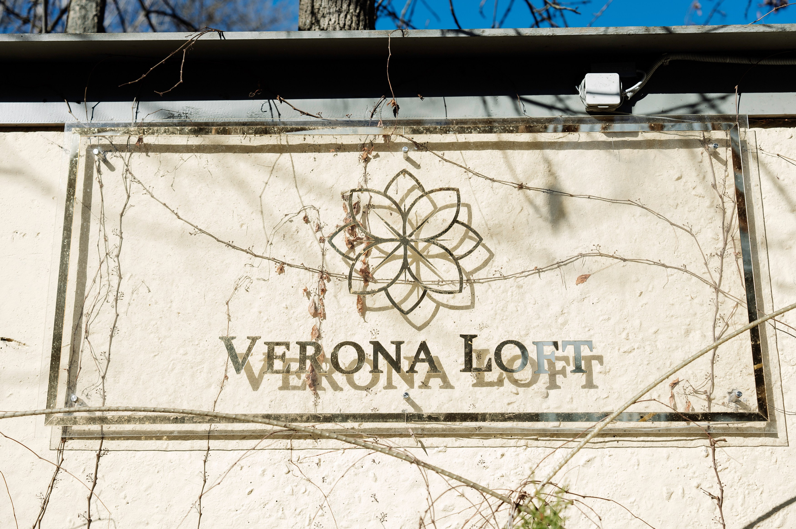 В + А. Мария Плетинская фотограф в Санкт-Петербурге