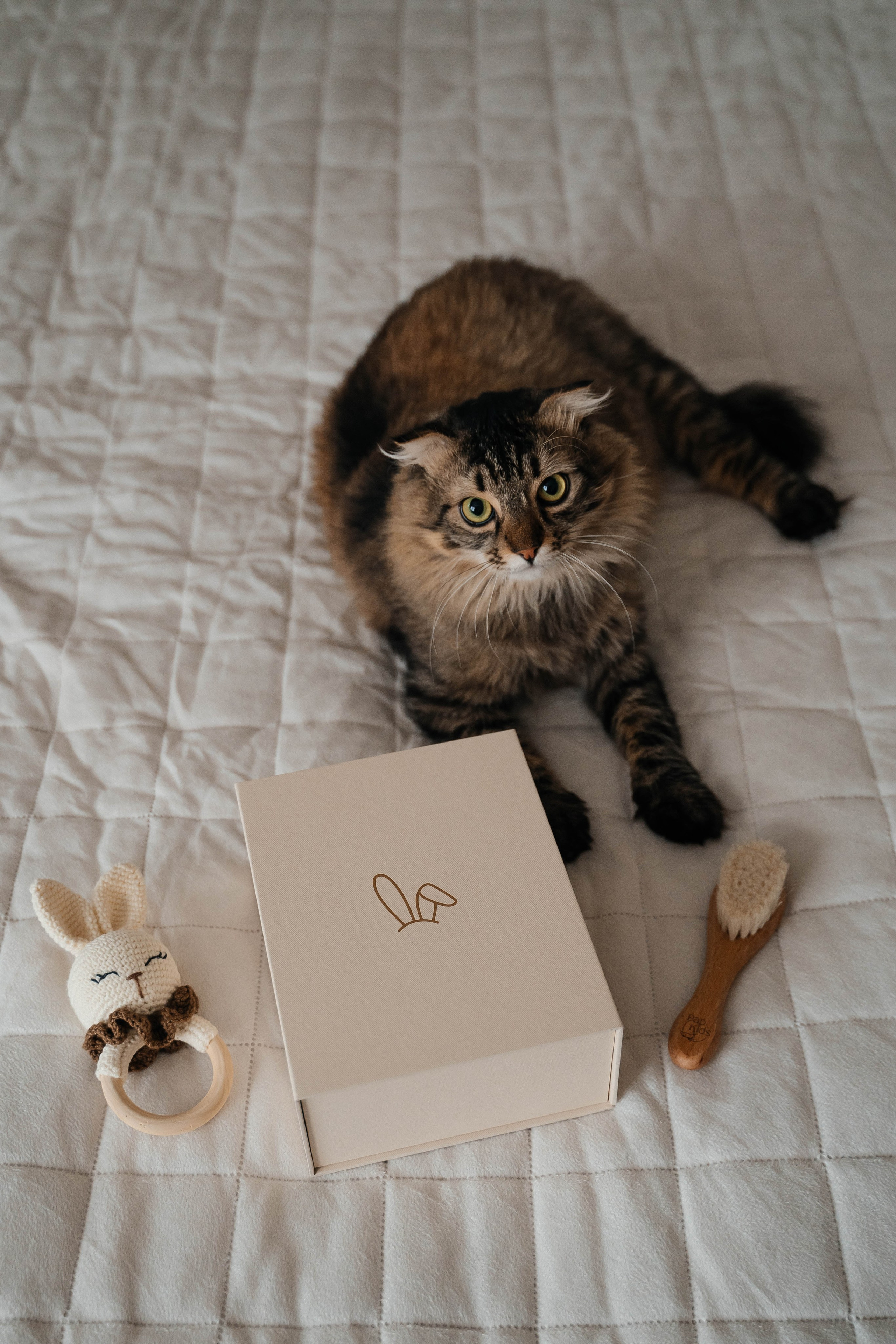 Семья Шунтовых. Свадебный и семейный фотограф