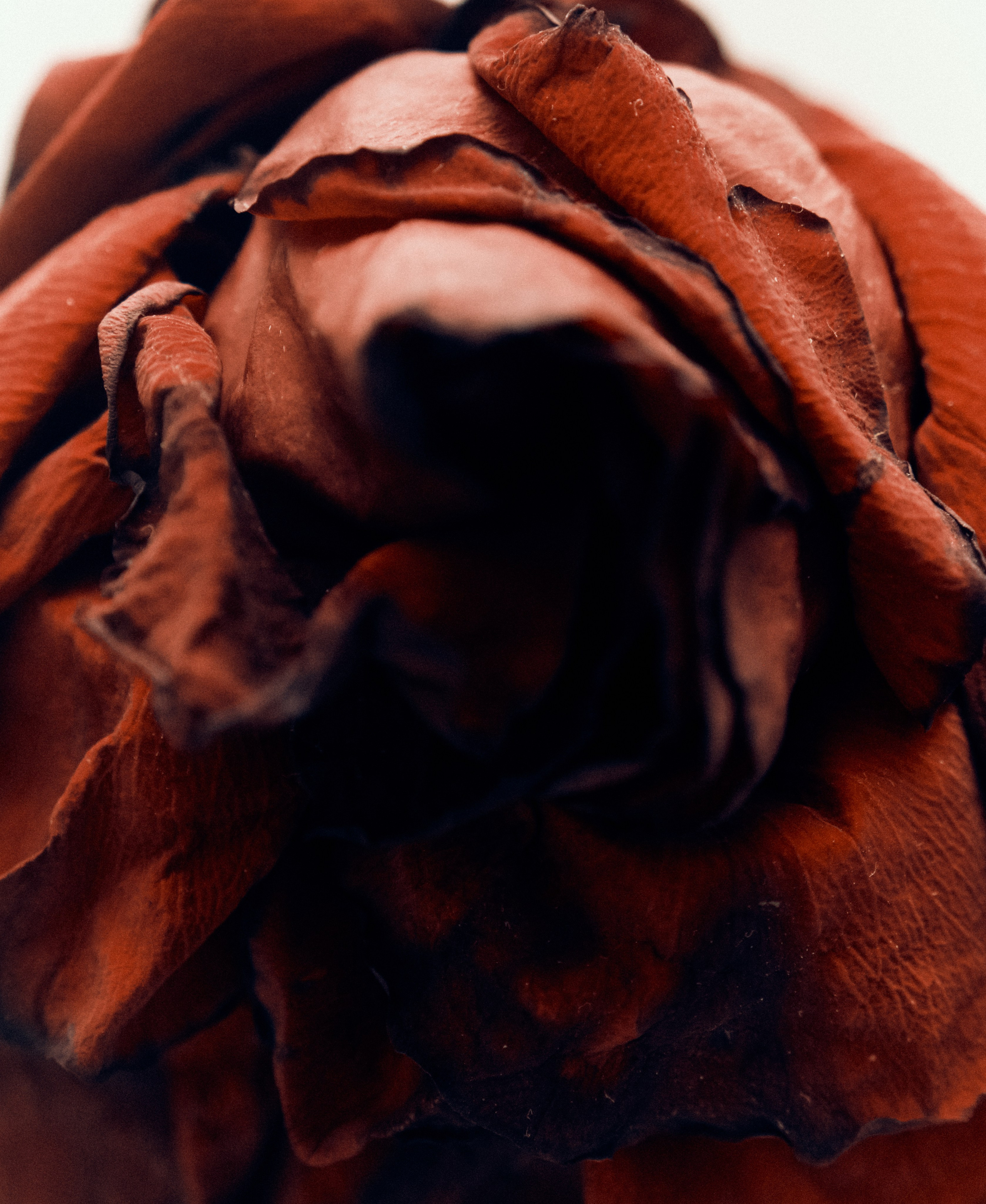 Other. DISEMICHASNOVA