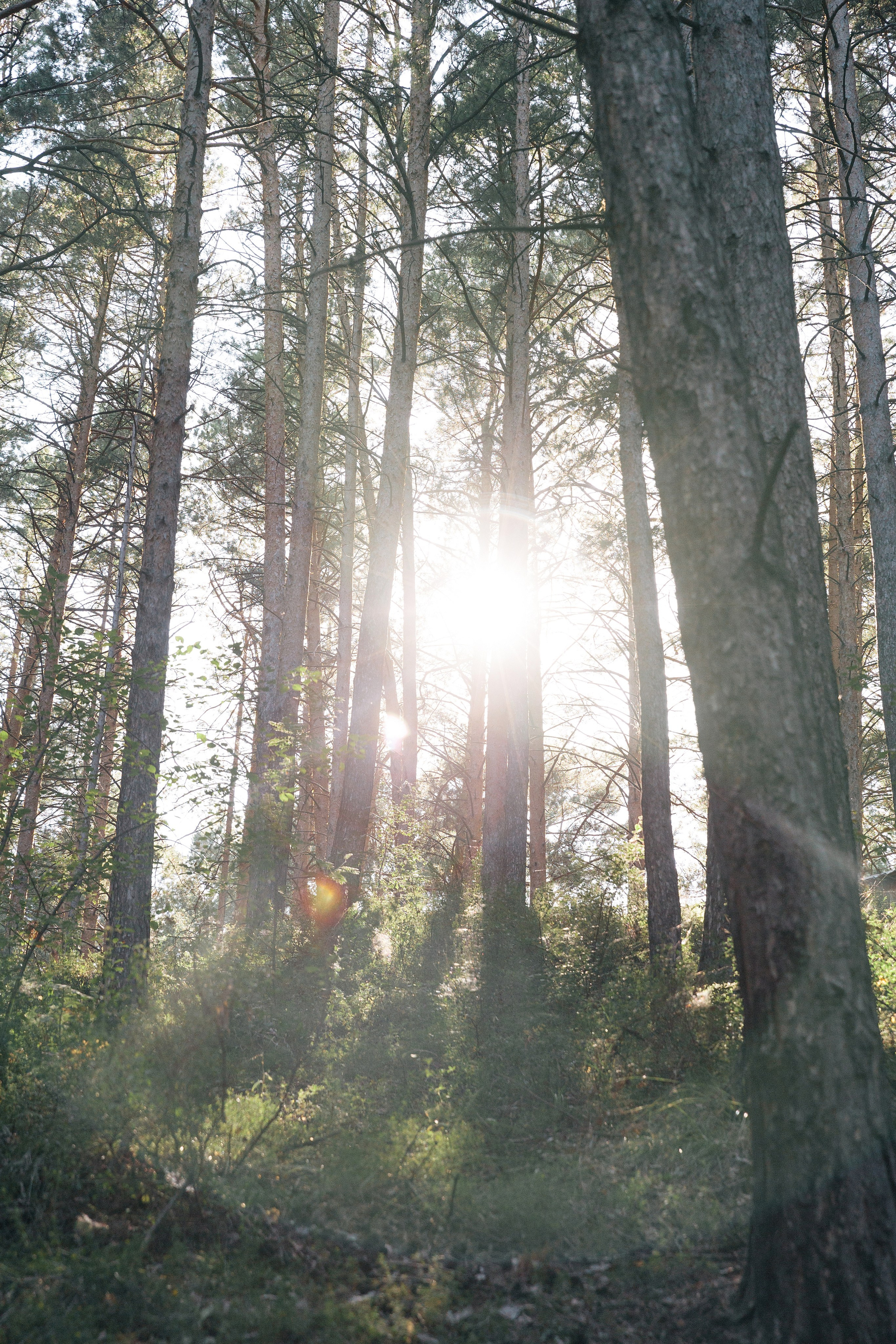Виталий и Анастасия