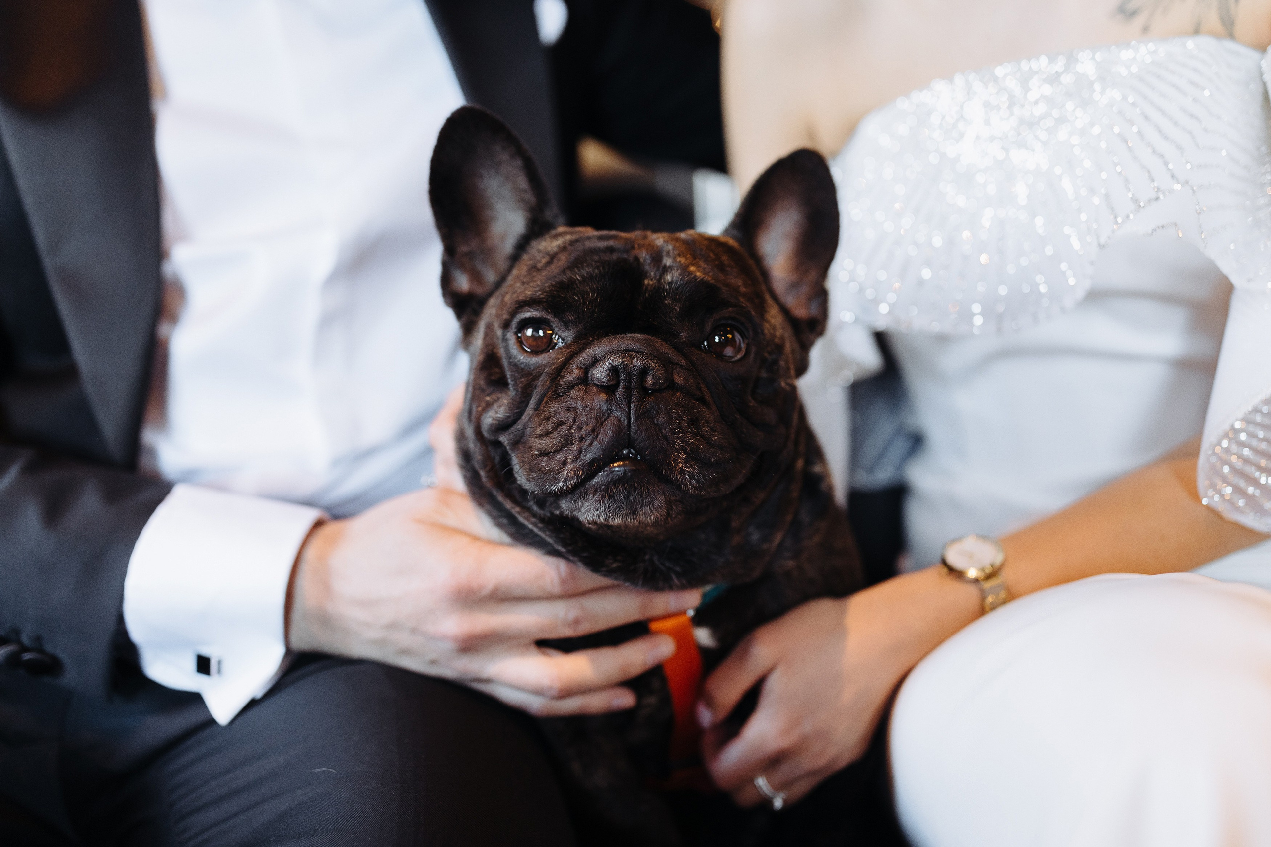 Oohwee. Свадебный фотограф в Москве Владимир Барабанов