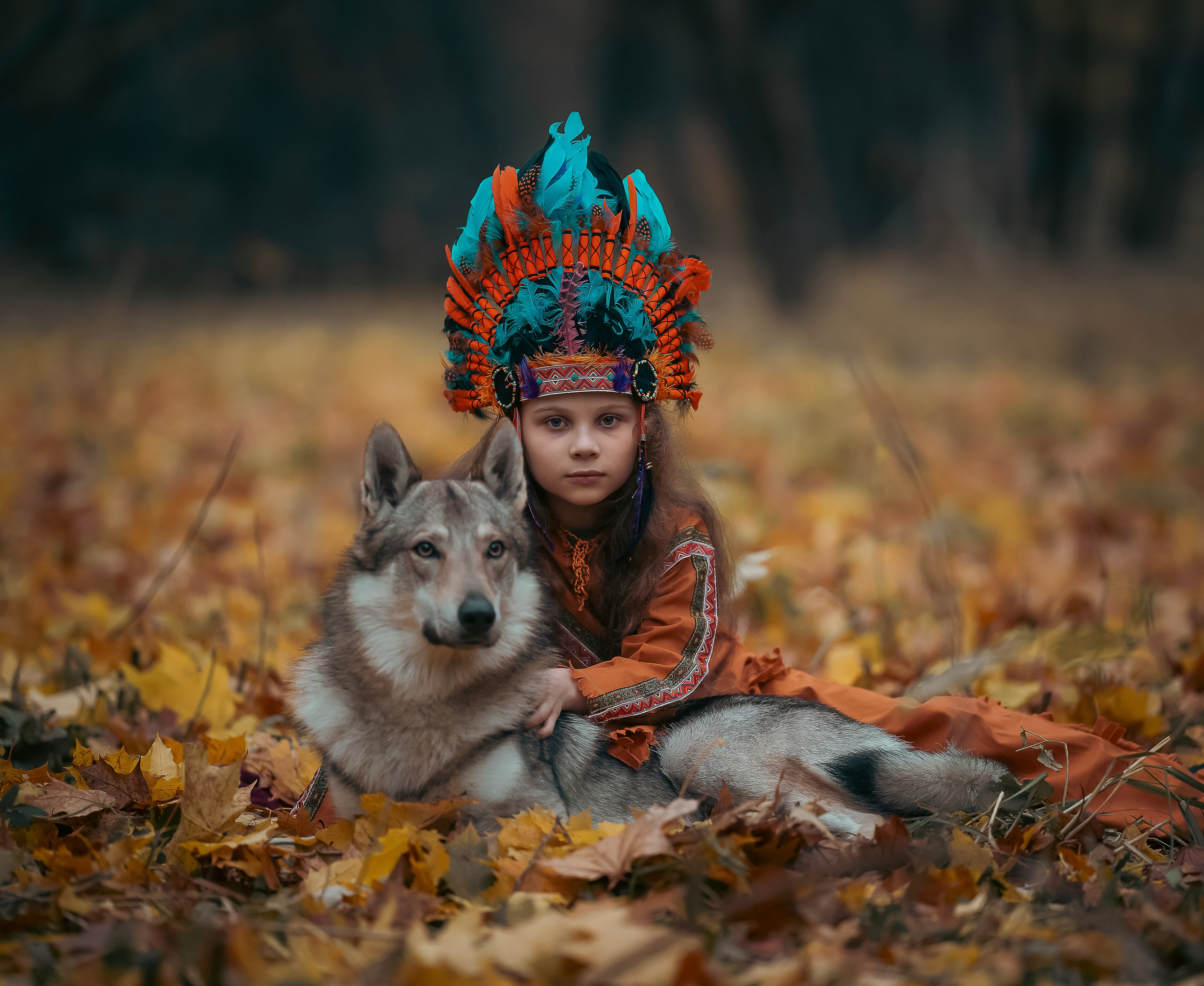 Волки. Профессиональный фотограф в Москве Марина Григорьева