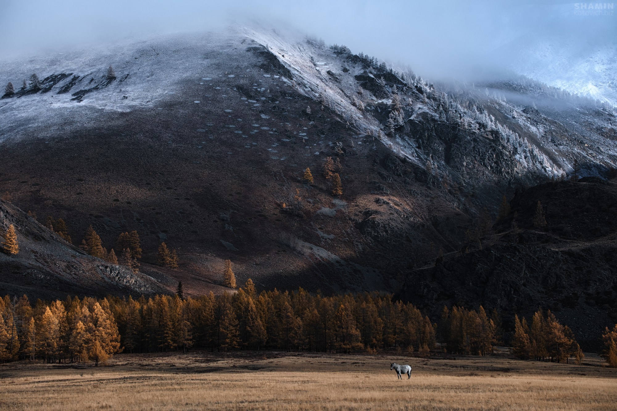 Пейзаж. Фотограф Константин Шамин