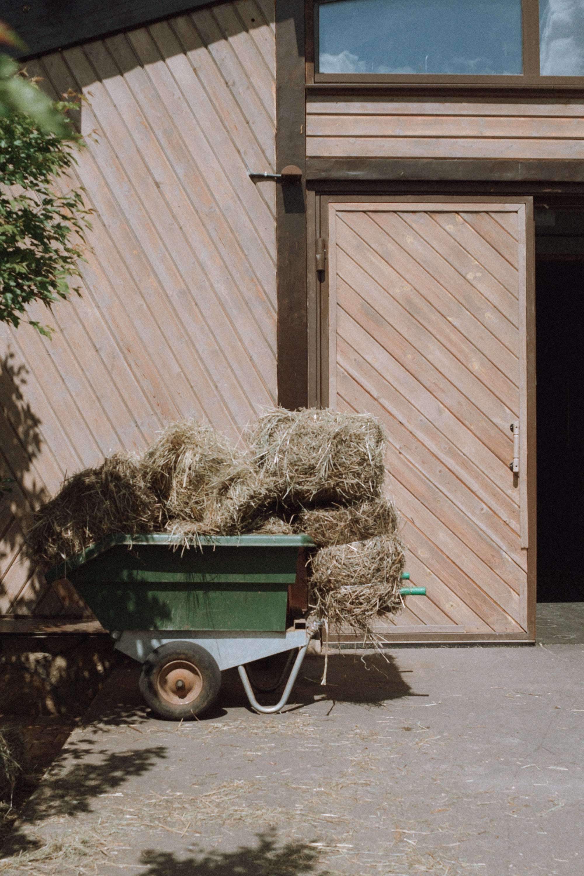 Emerald Stables CUP 2025. Бэкстейдж и репортажный фотограф в Москве Артем Онацко