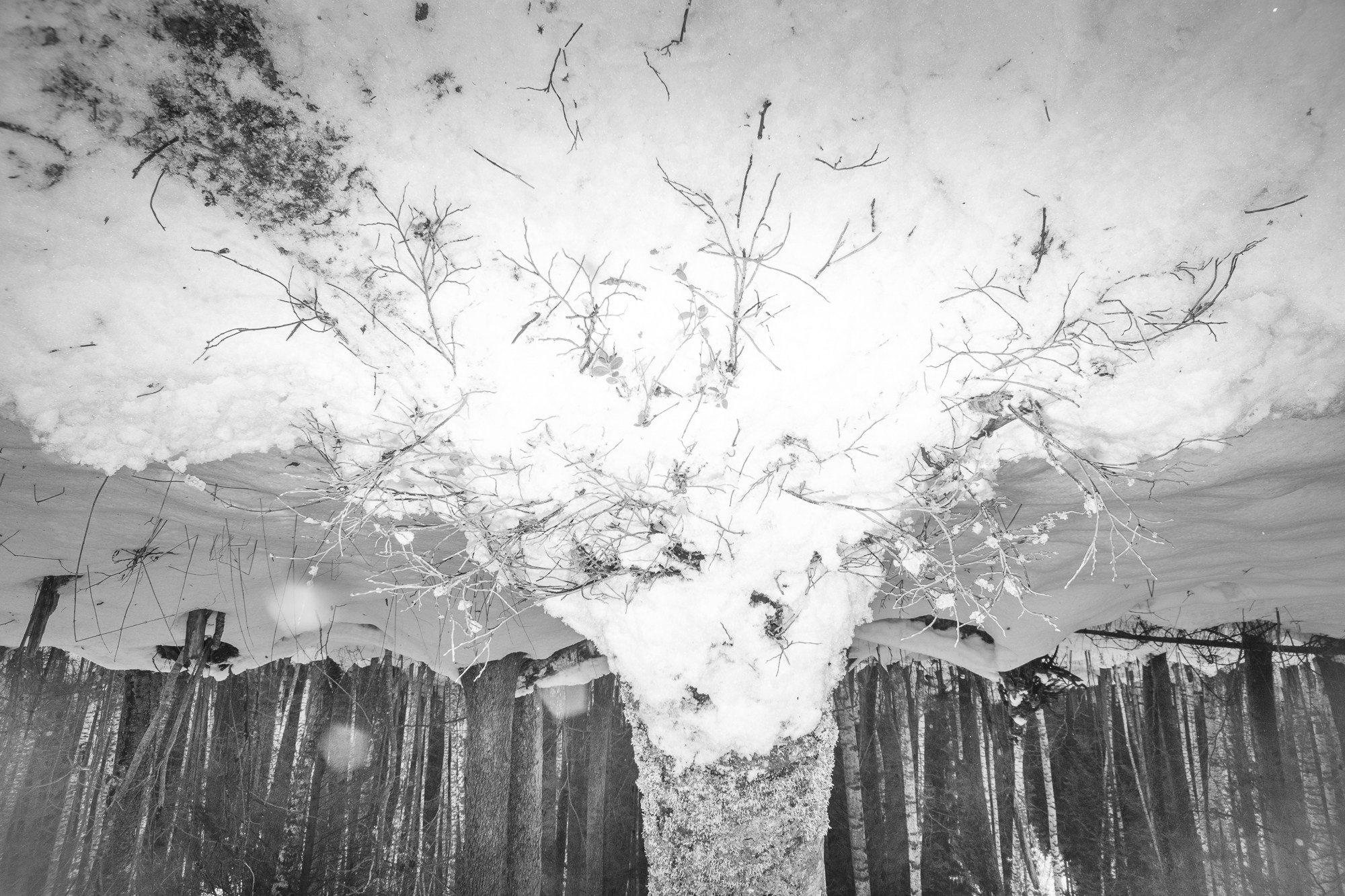 По ту сторону зимы. Женский семейный фотограф Тула Москва Захарова Анна