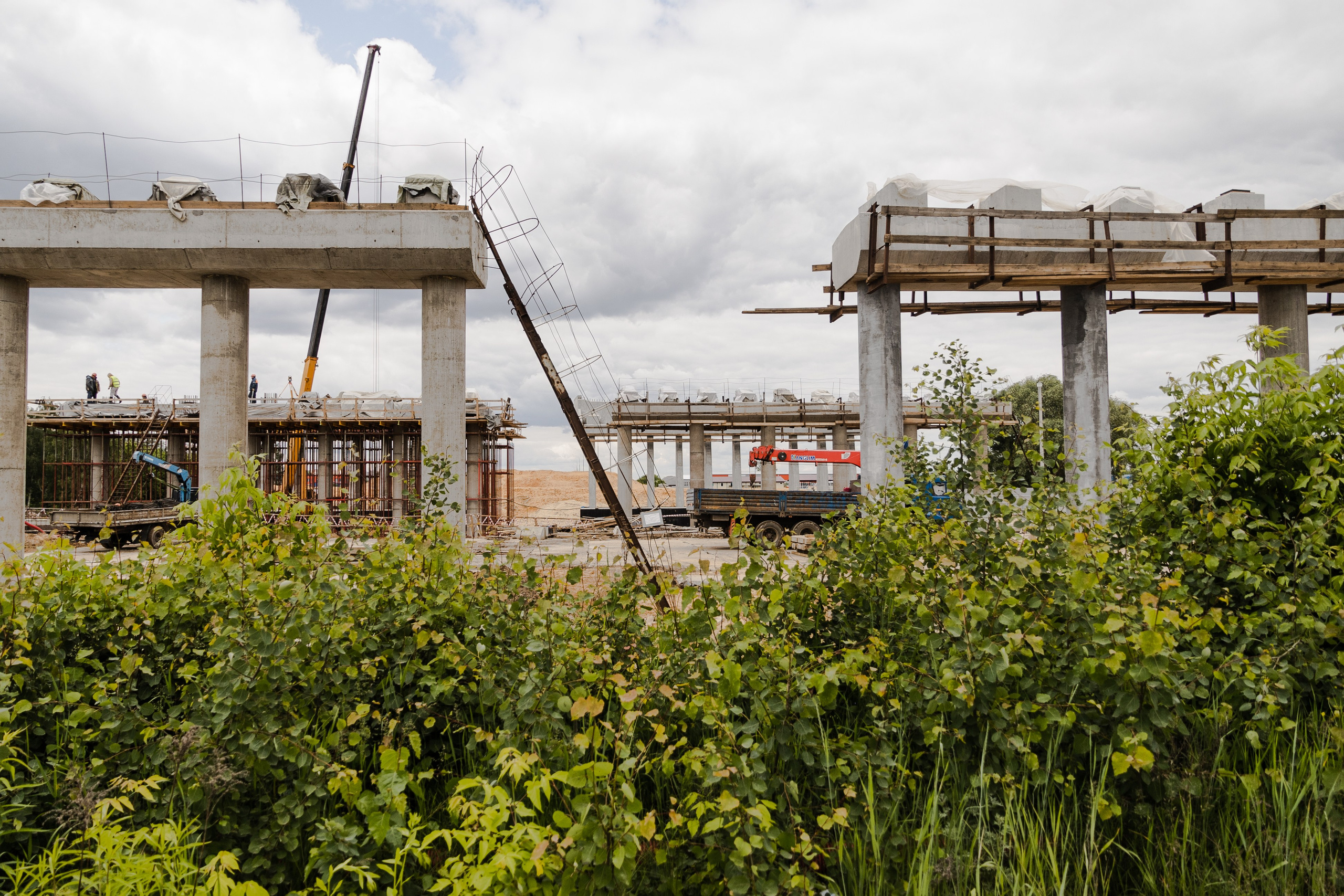 Открытый мир. DASHA KALNINA