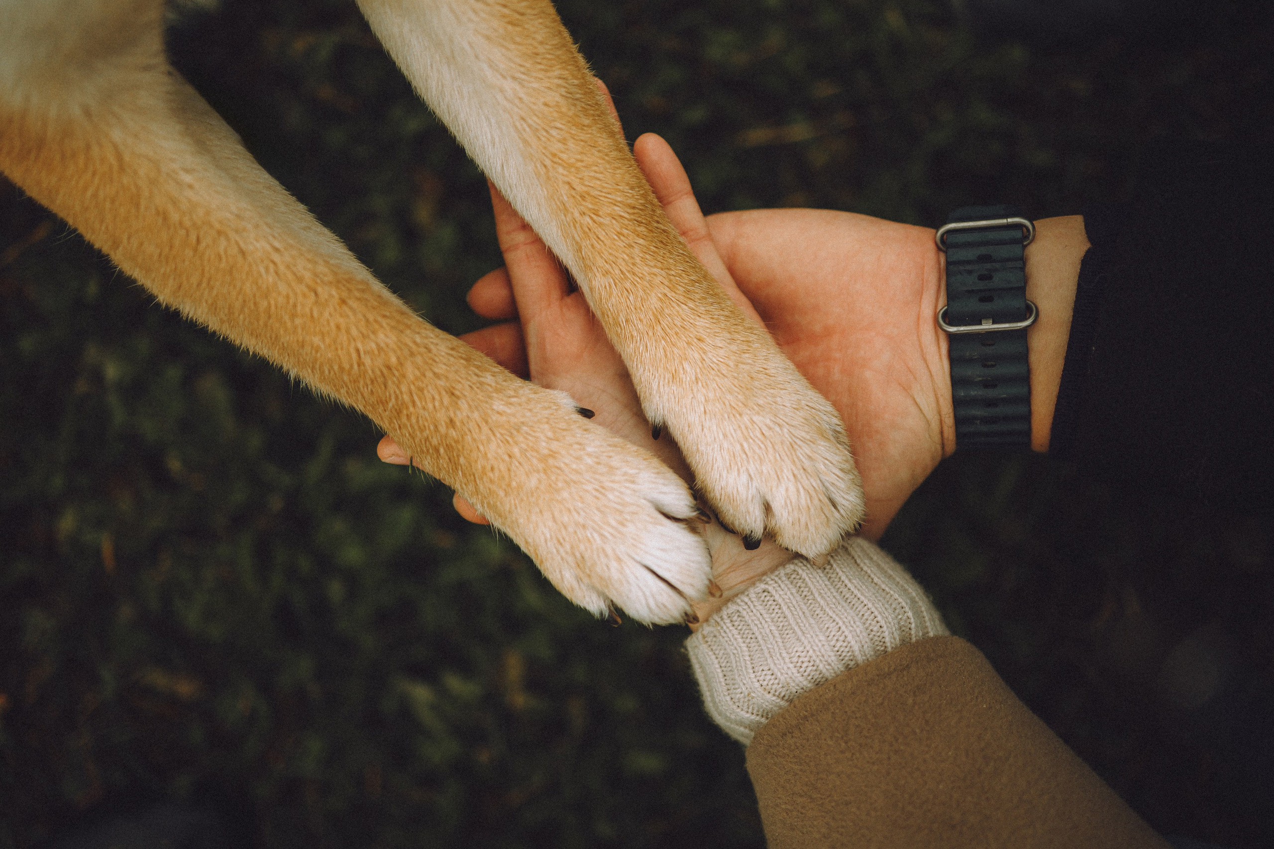 Настя, Юра и Скай