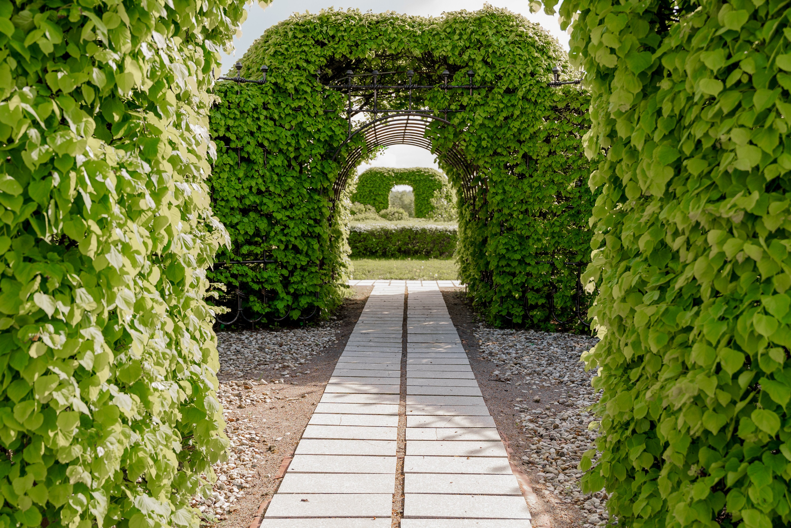 Свадебные съемки. Профессиональный фотограф Ковалева Олеся