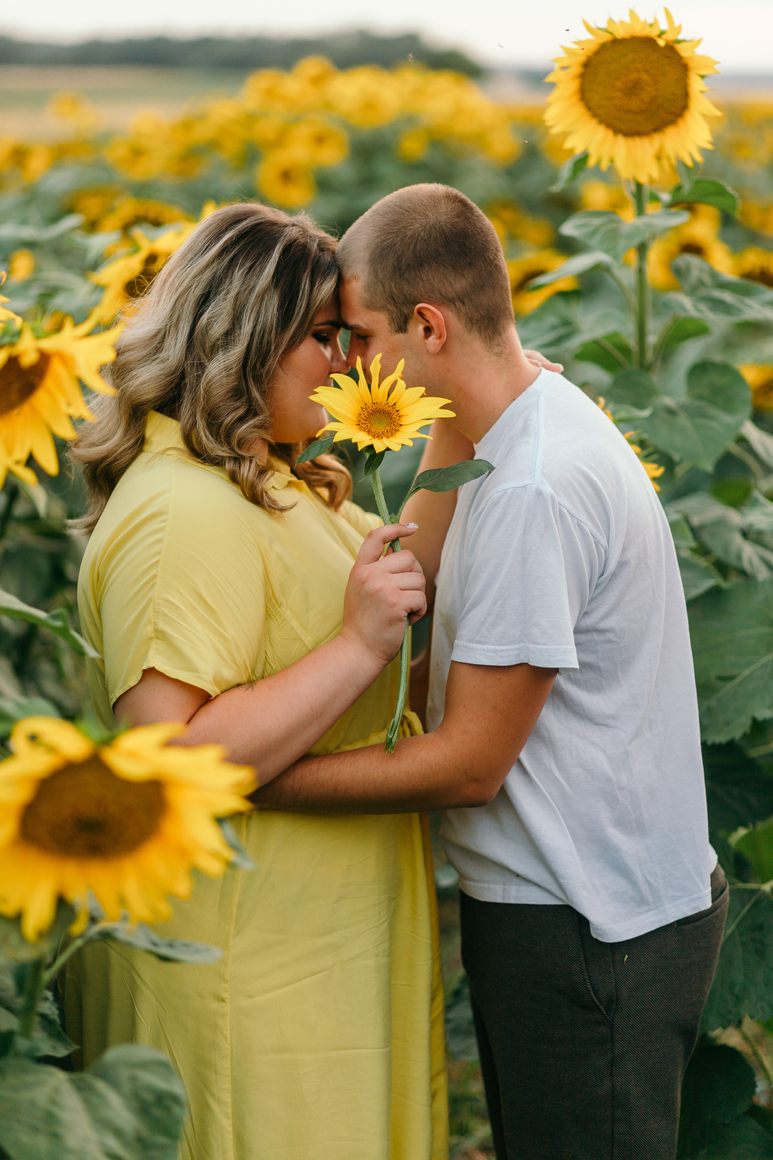 Настя и Саша в подсолнухах. Семейный фотограф в Рязани Харламова Влада
