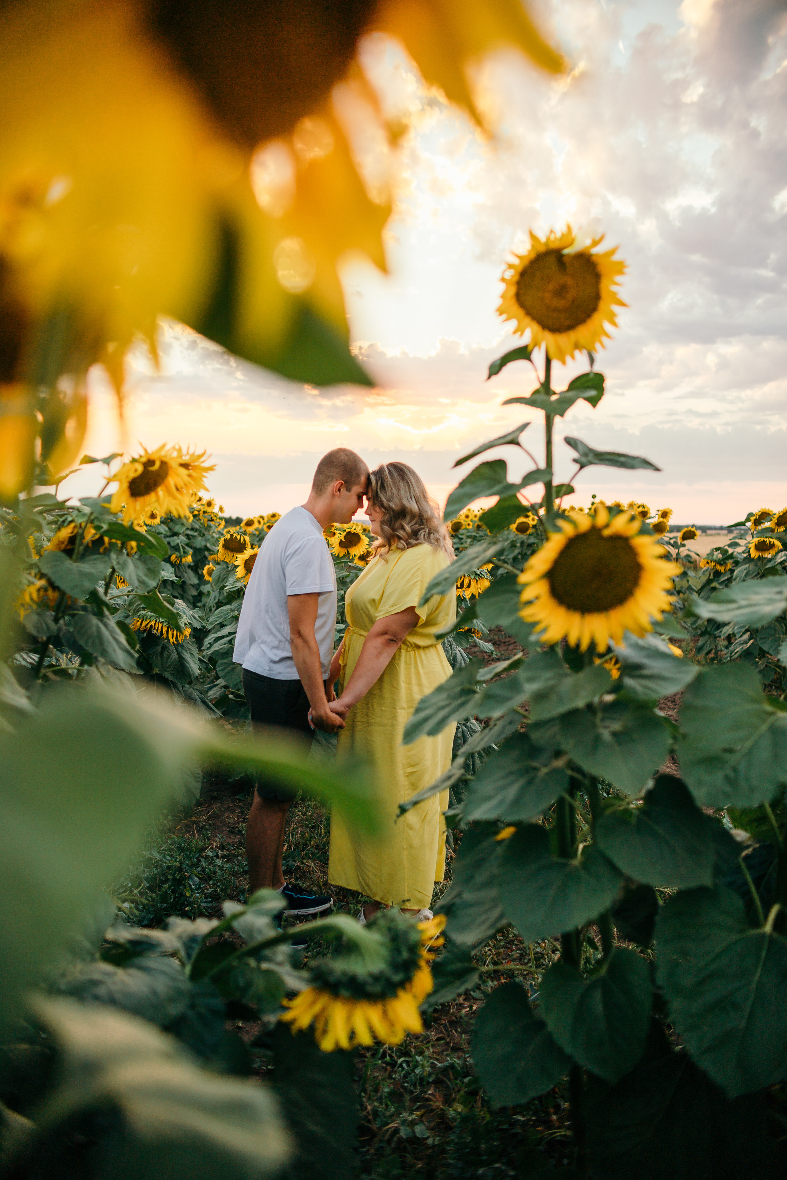 Настя и Саша в подсолнухах. Семейный фотограф в Рязани Харламова Влада