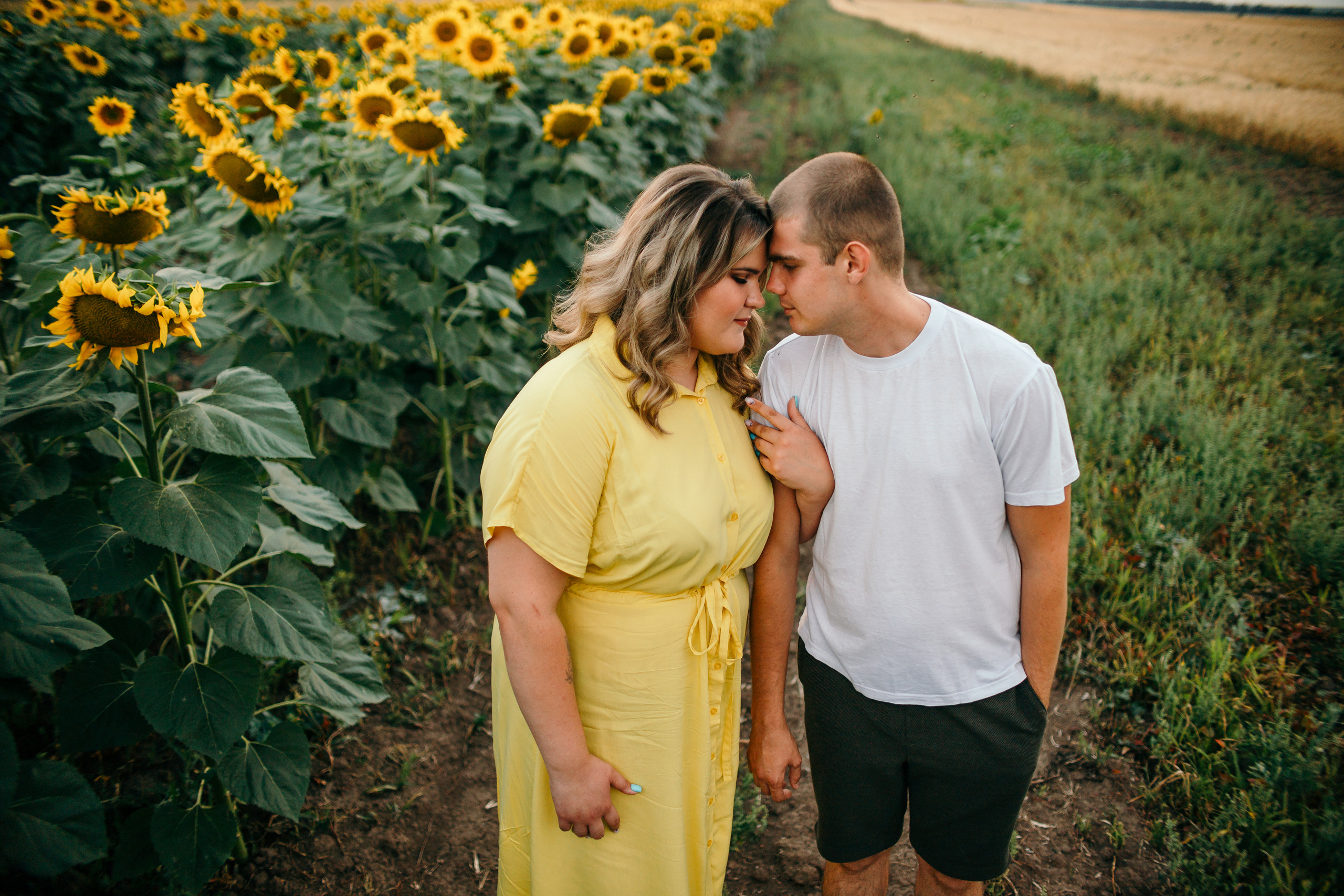 Настя и Саша в подсолнухах. Семейный фотограф в Рязани Харламова Влада