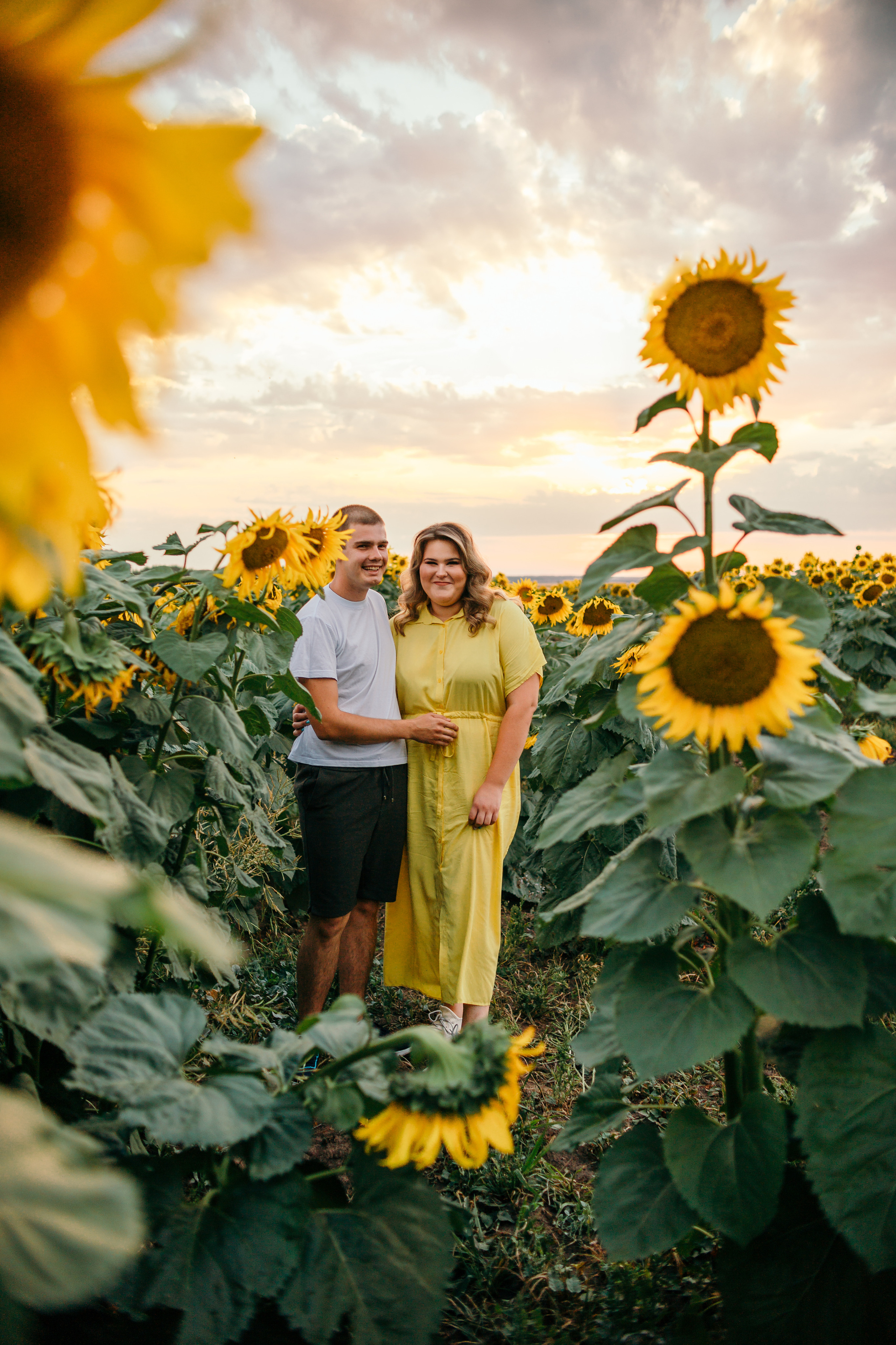 Настя и Саша в подсолнухах. Семейный фотограф в Рязани Харламова Влада