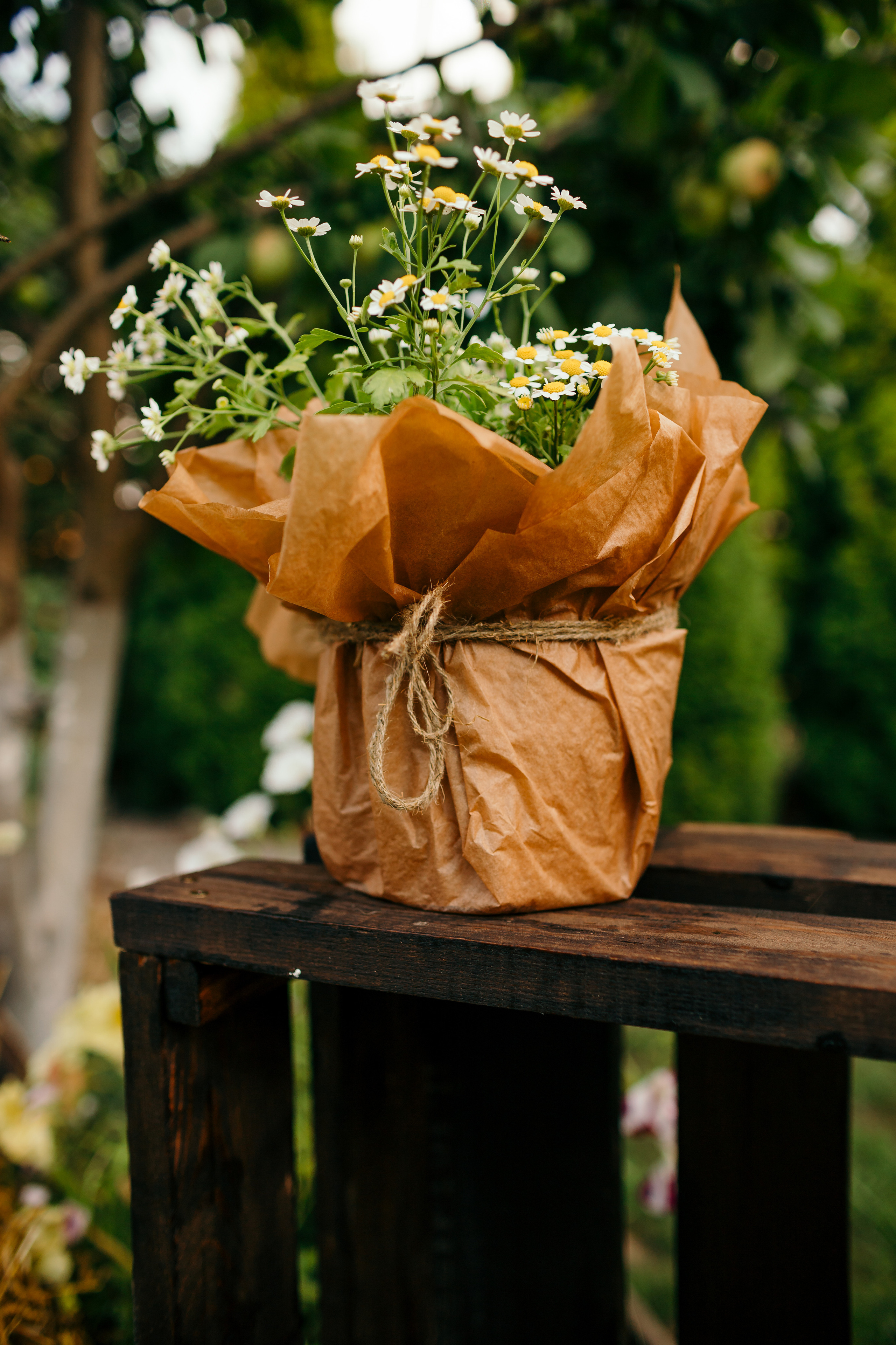 Света, Артём, Алиса, Сева. Семейный фотограф в Рязани Харламова Влада