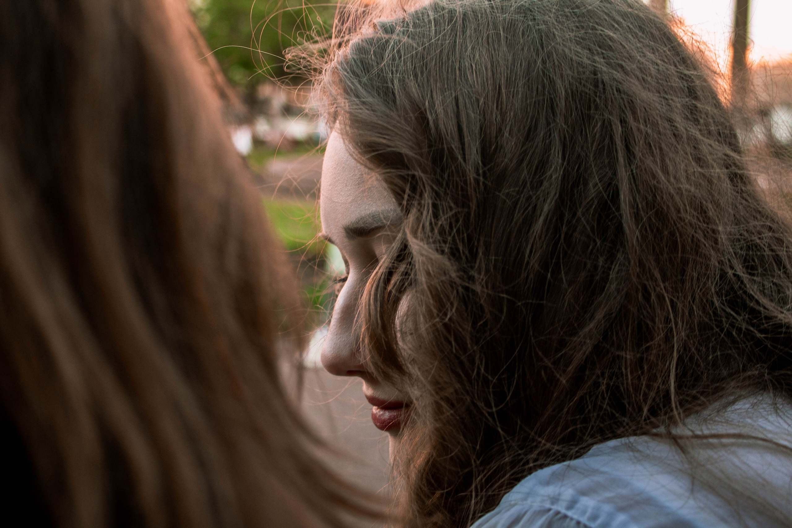 Сирень. Карпогоры, Санкт-Петербург