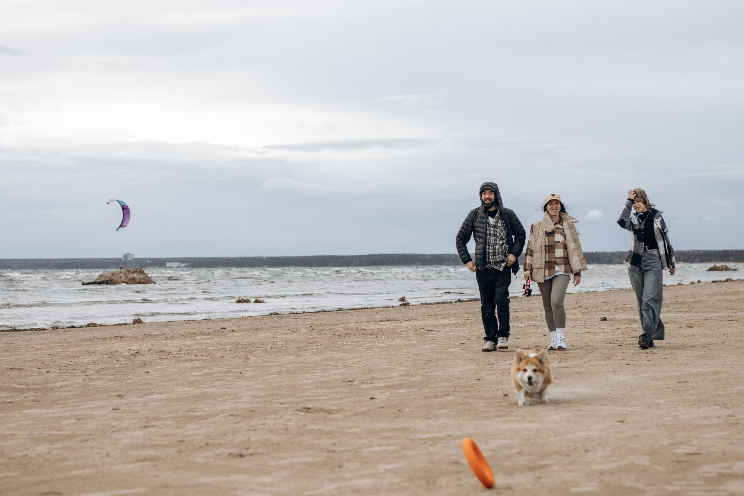 Фотограф-анималист в Санкт-Петербурге