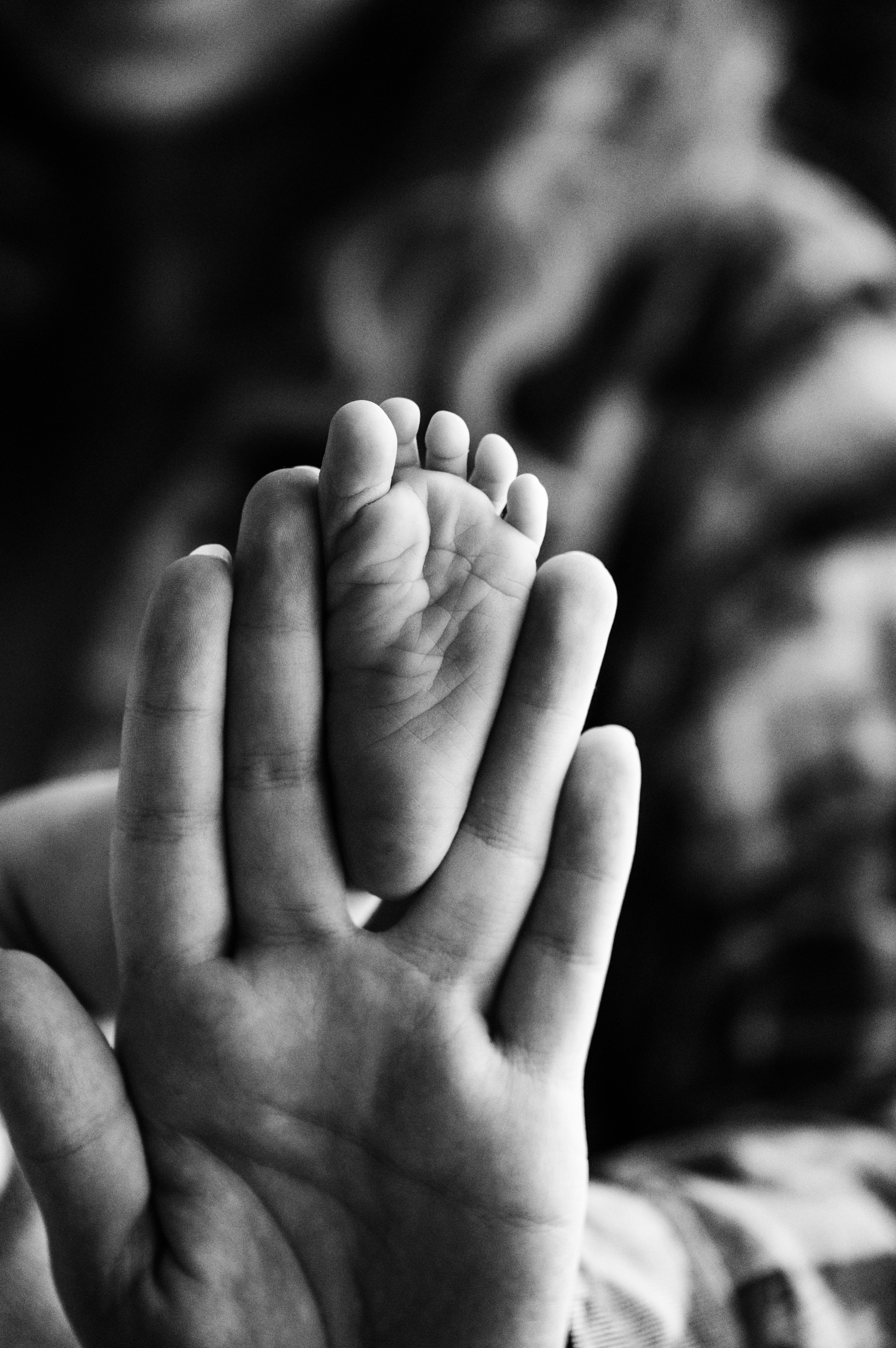 Лизавета, Никита и Мирослава. Фотограф беременности и семьи, домашние съемки, Ньюборн