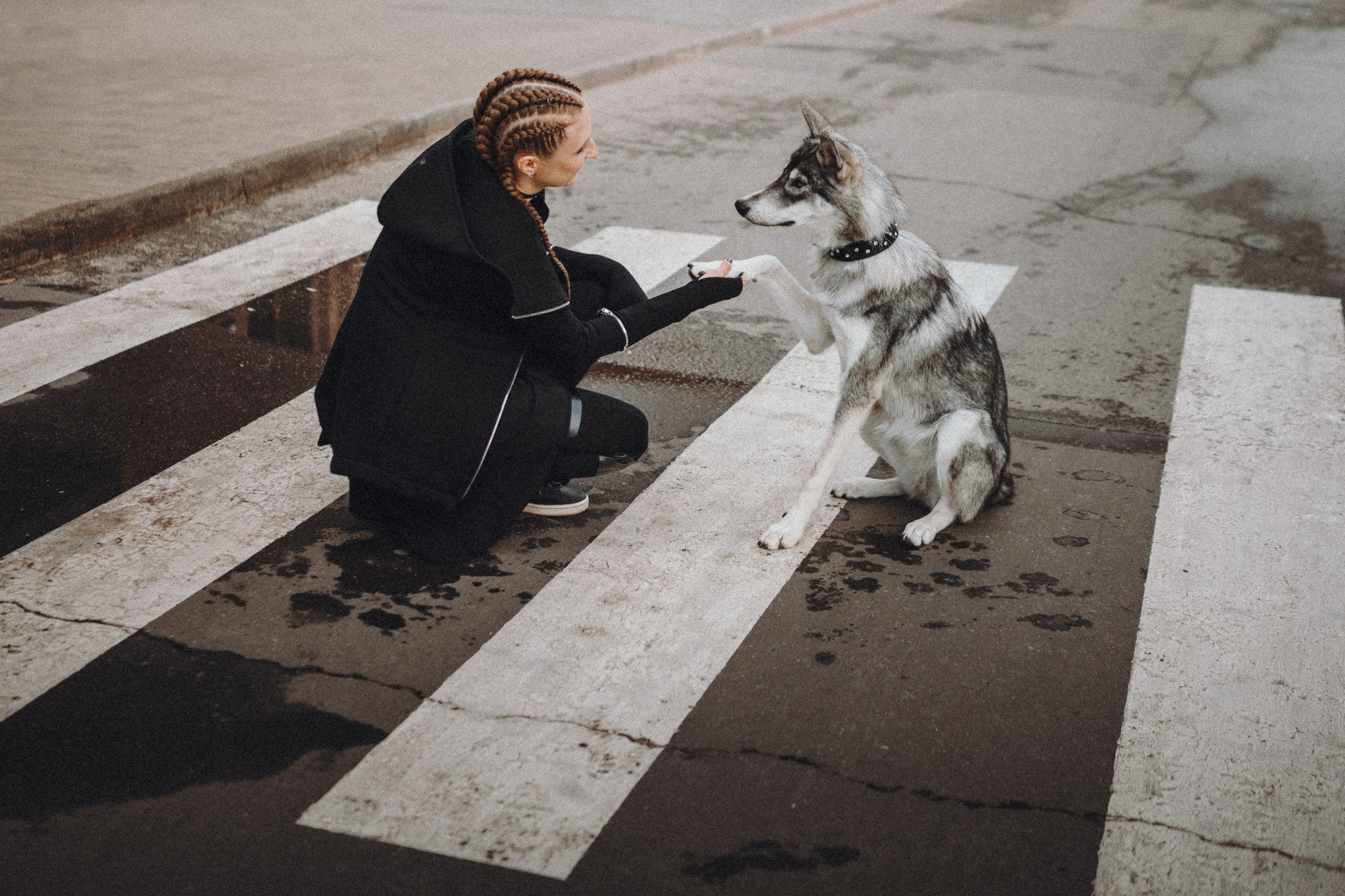 Вика и Кора. Семейный фотограф анималист Ананьева Мария — Москва