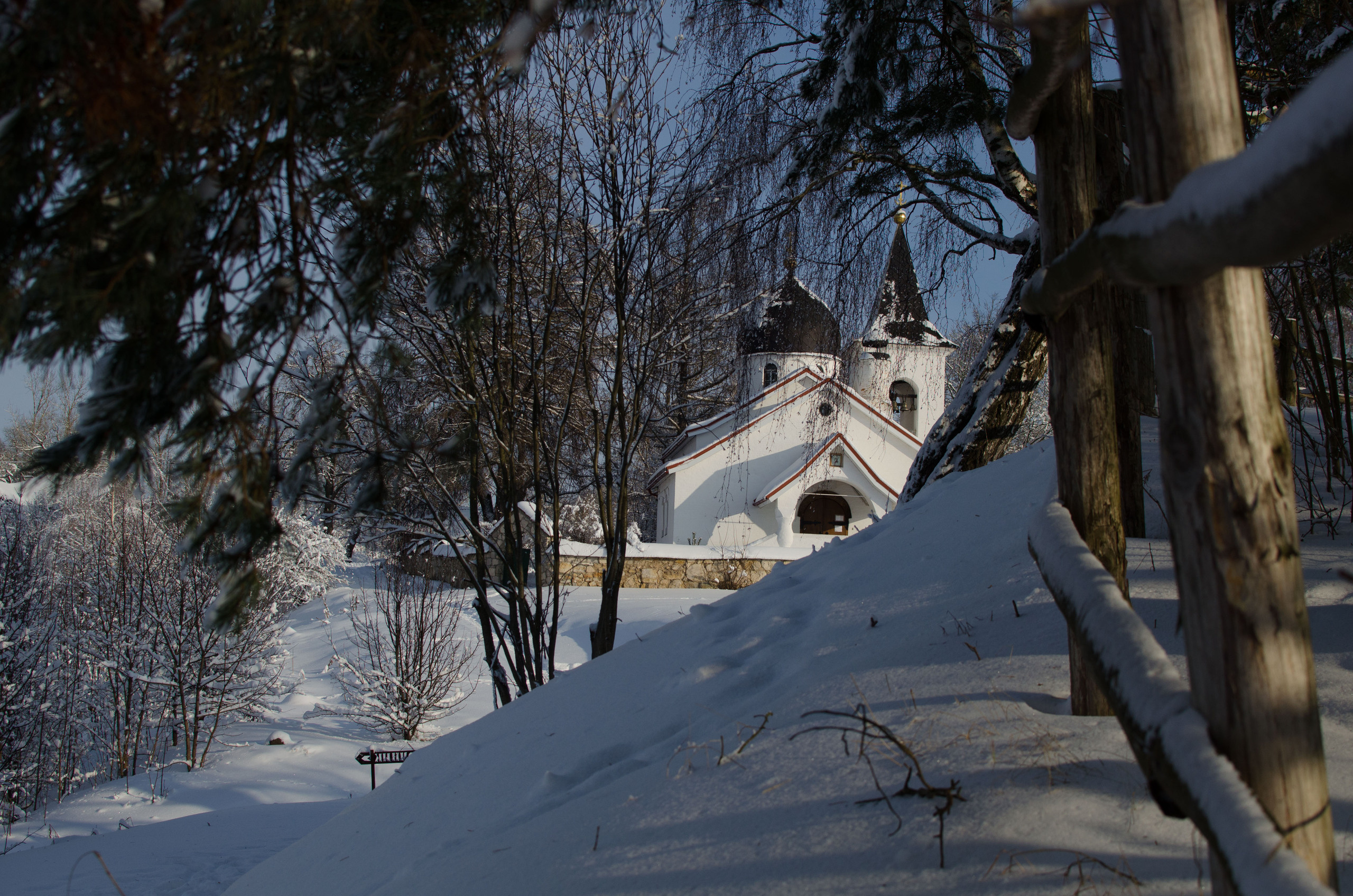 Бёхово. Лиза Фирстова — самый добрый фотограф