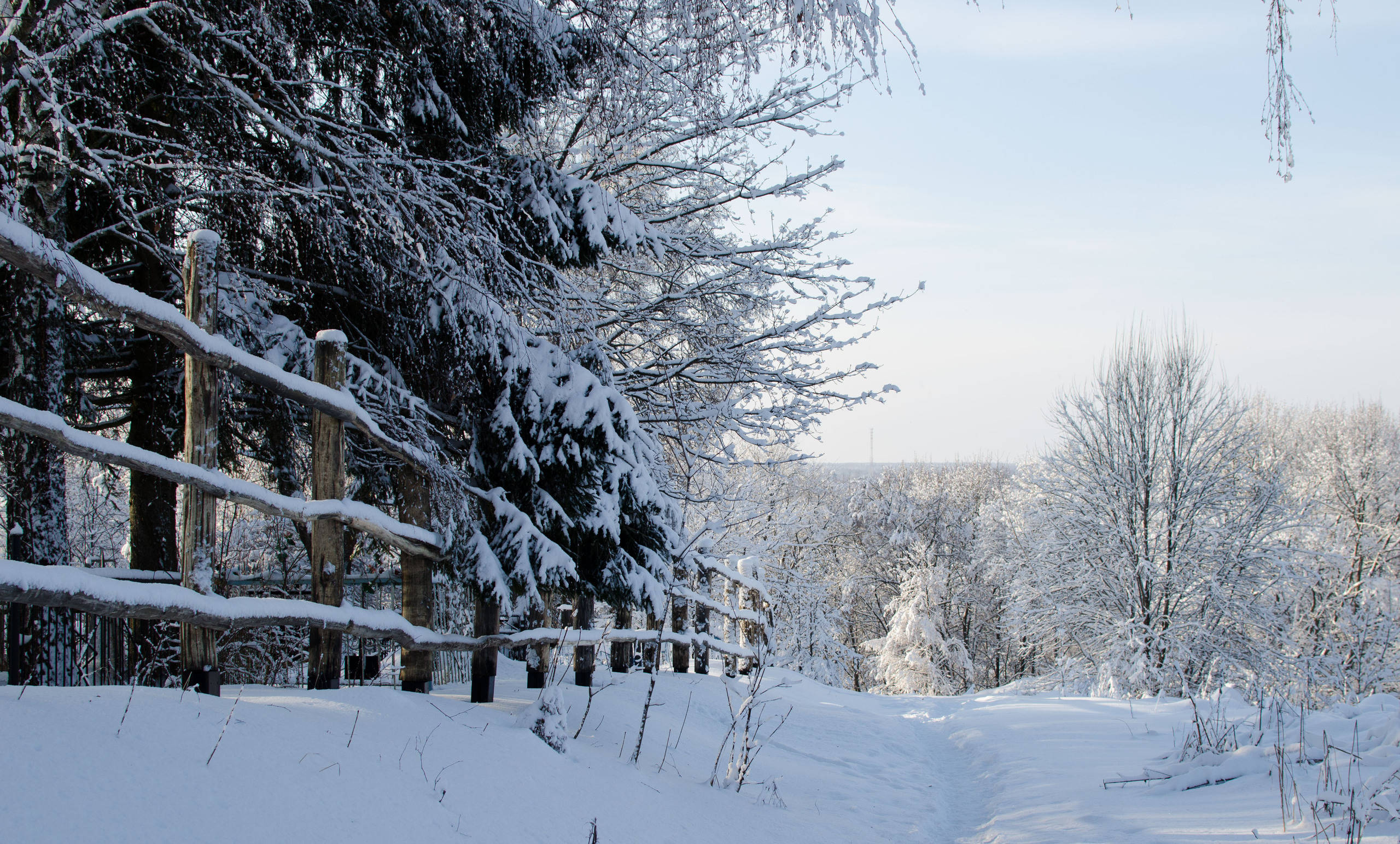 Бёхово. Лиза Фирстова — самый добрый фотограф