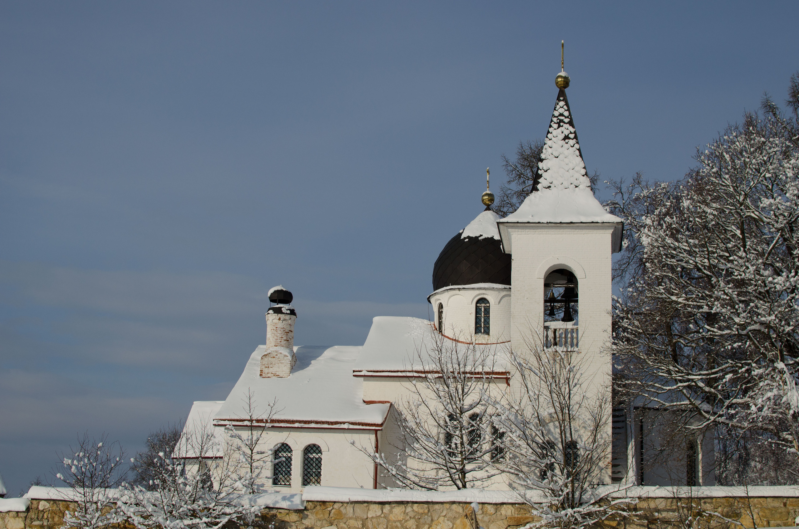 Бёхово. Лиза Фирстова — самый добрый фотограф