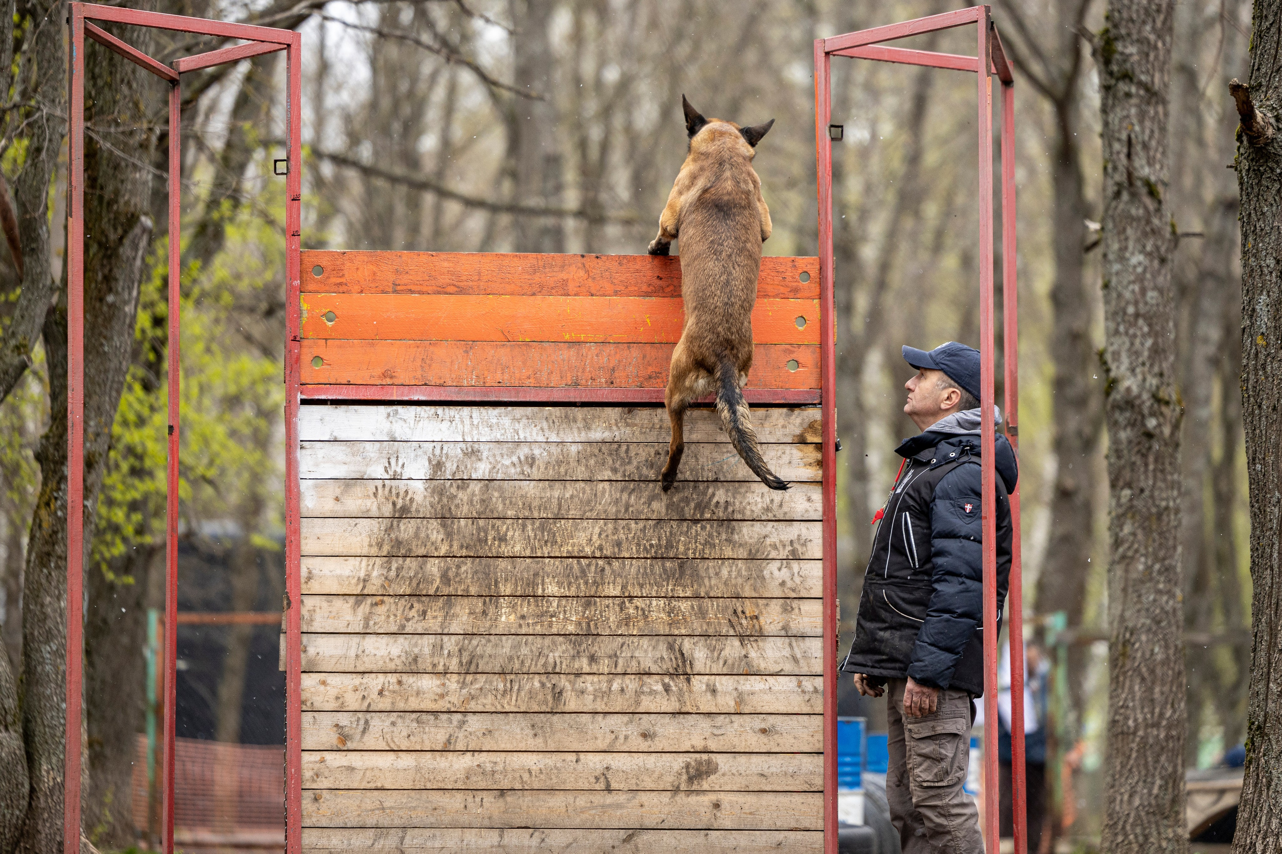 Квалификационные состязания по мондьорингу г. Вологда 11.05.24. Фотограф-анималист Анна Маринич