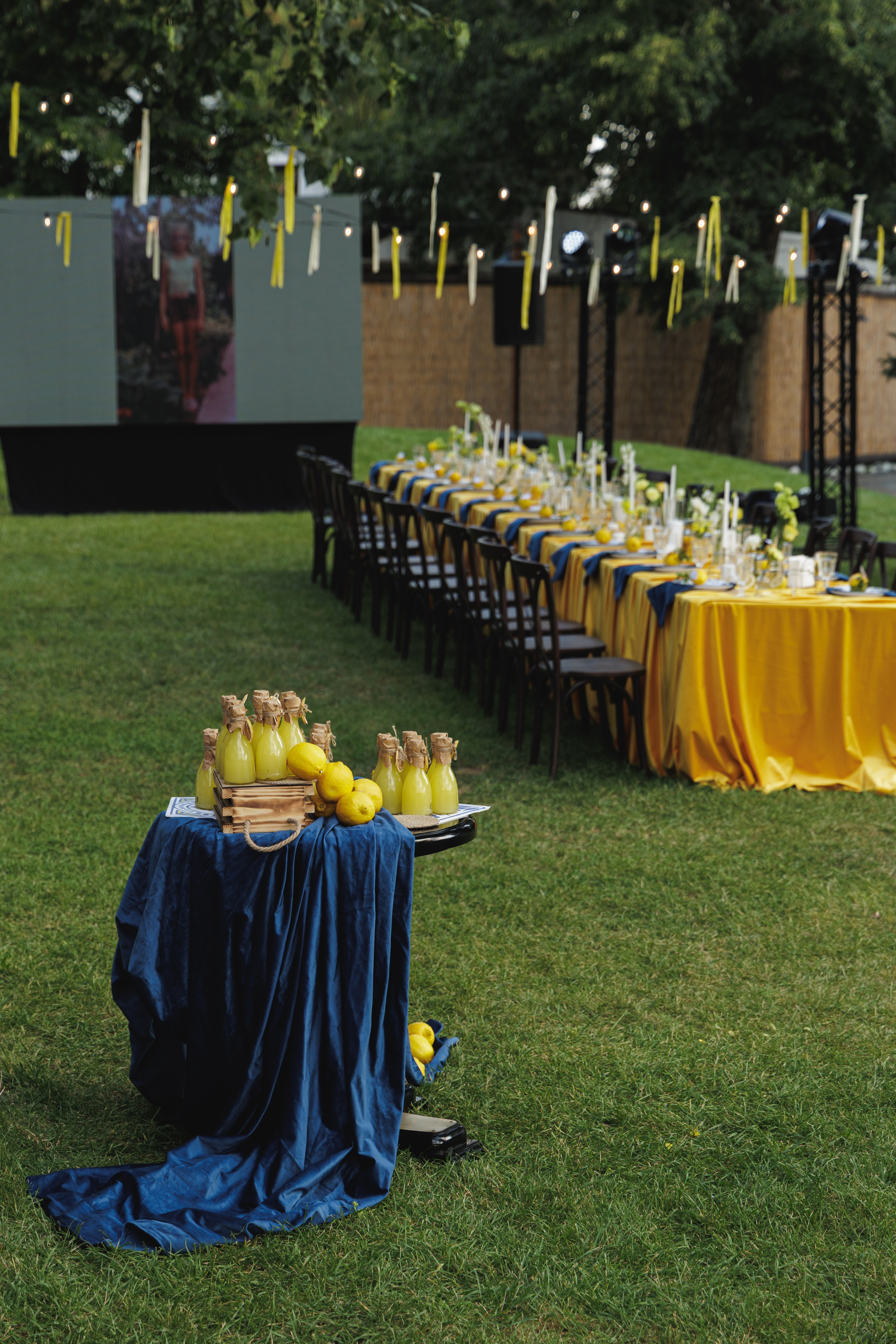 День Рождения. Aleksantis