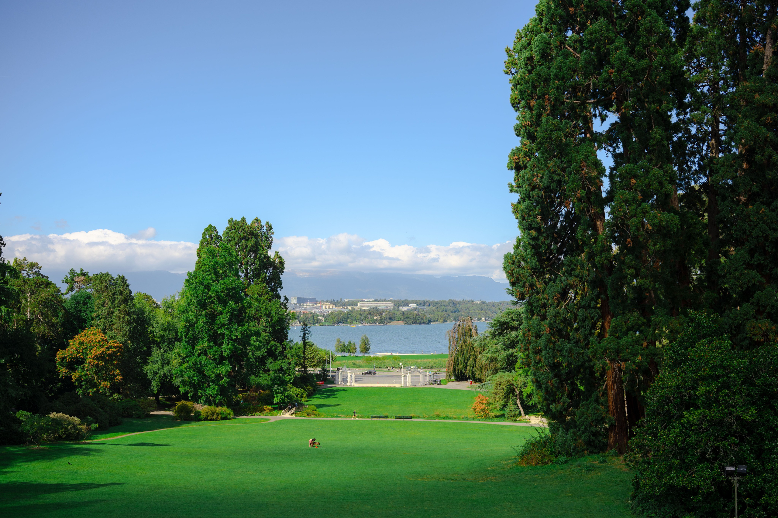 Wedding Photographer Switzerland Geneva Europe. Professional Wedding Photographer Geneva & Romande Switzerland | Tanya Creator