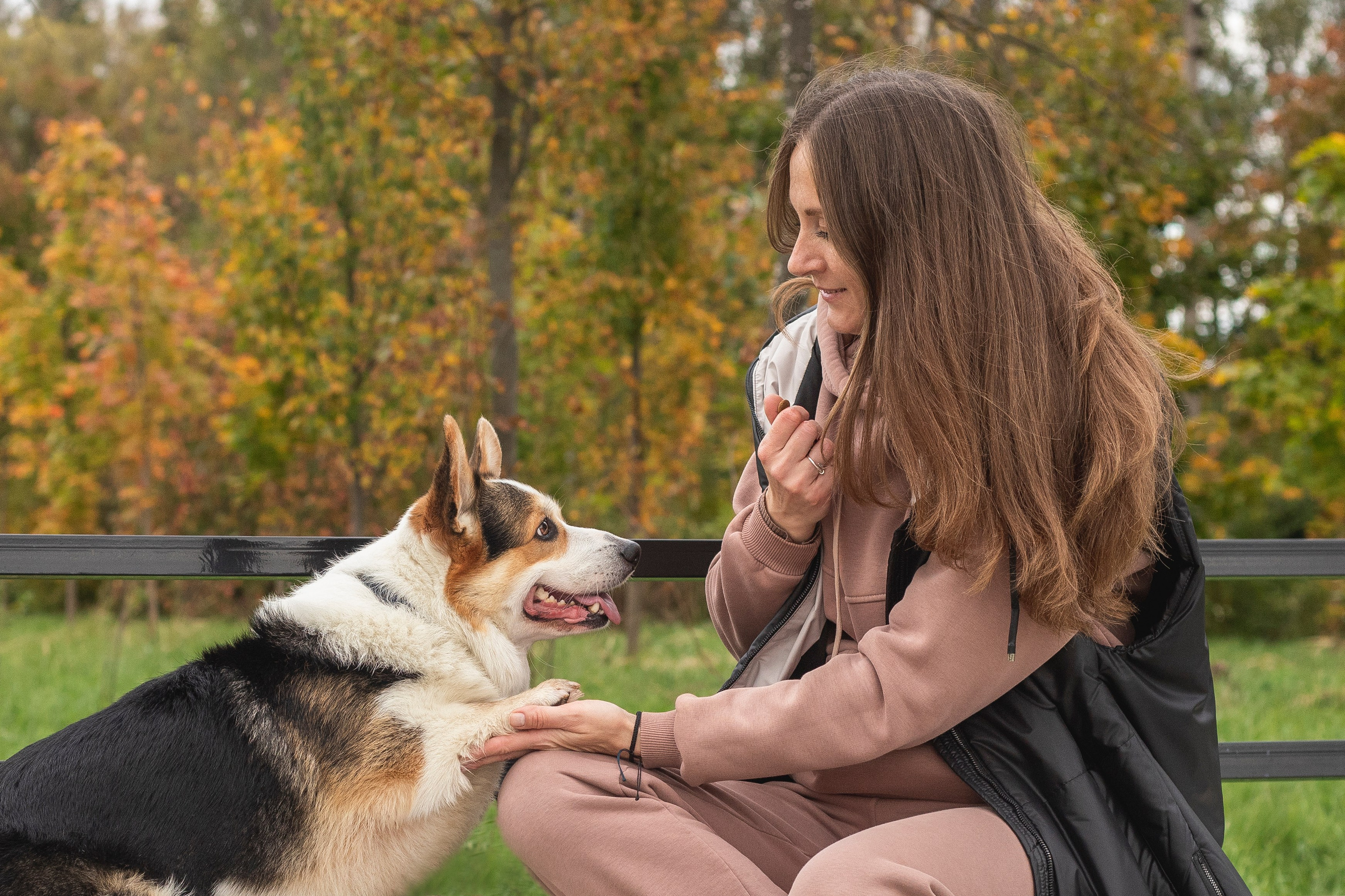 Портфолио. Фотограф-анималист Анна Леонтьева • Москва