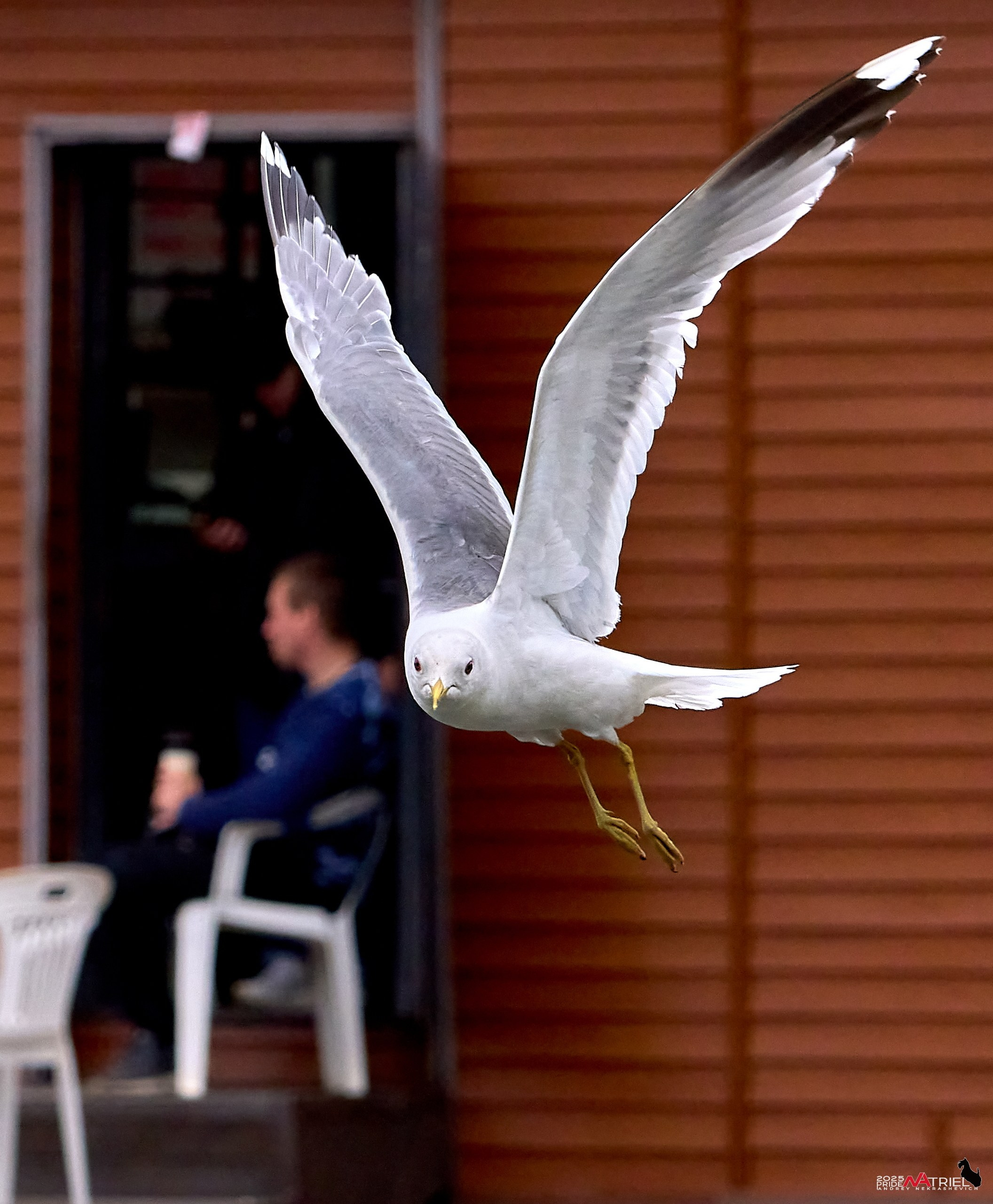 Съемка в парке на воде