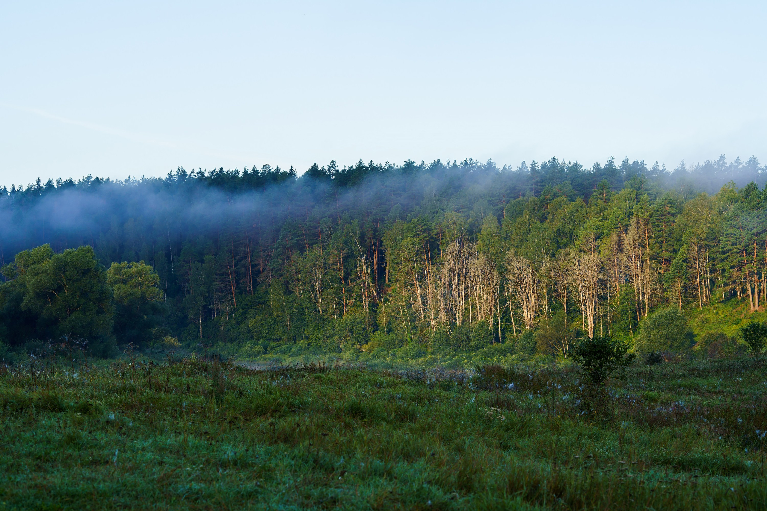 Фотографии Национальный парк Угра. Фотограф спортивные события, недвижимость, турбизнес