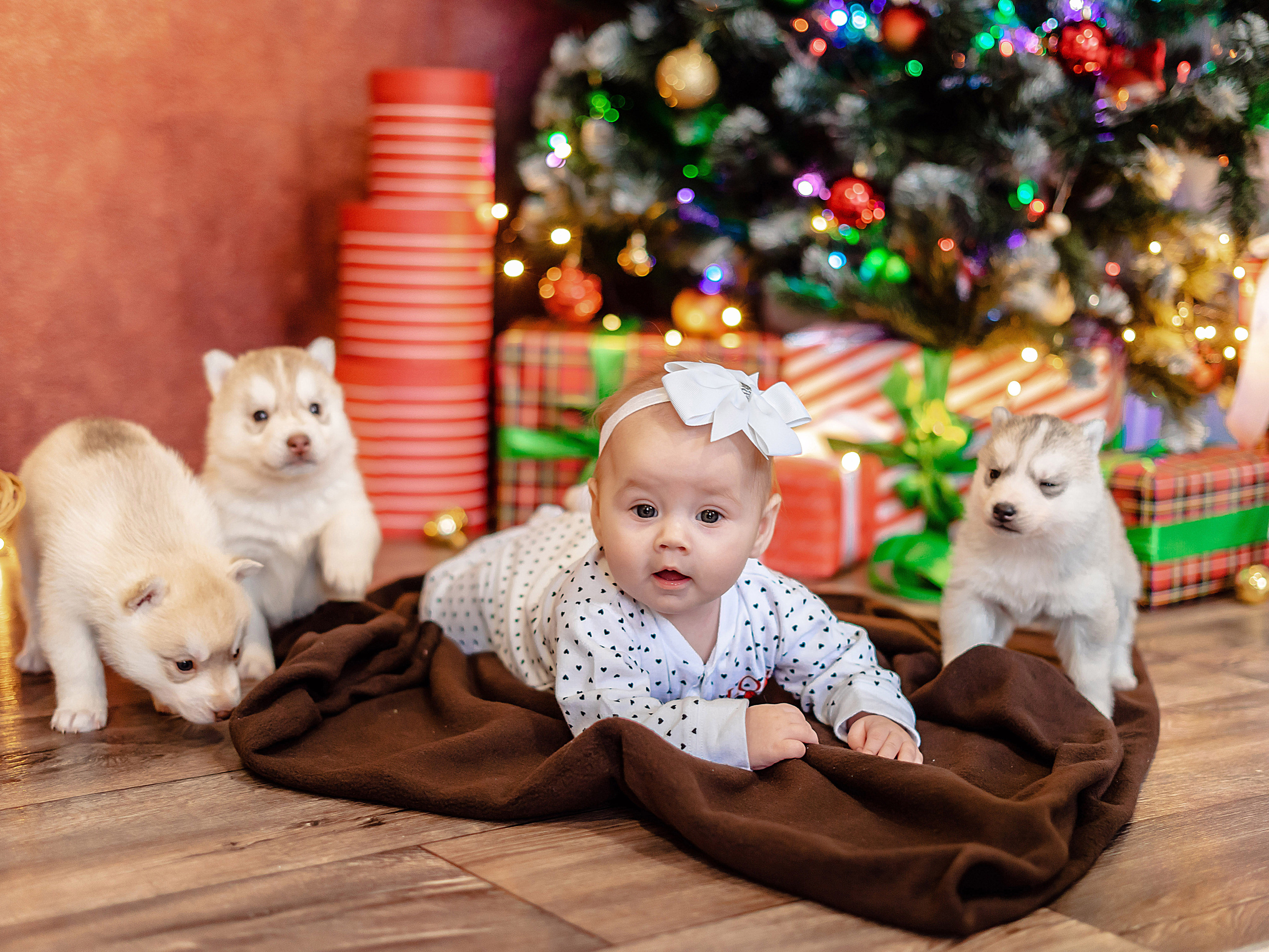Детский проект с Хаски. Семейный и детский фотограф в Екатеринбурге и НевьянскеТимурова Алина