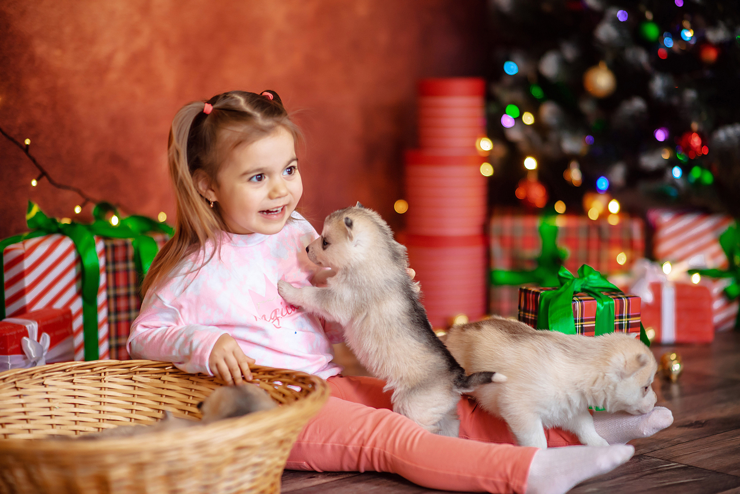Детский проект с Хаски. Семейный и детский фотограф в Екатеринбурге и НевьянскеТимурова Алина