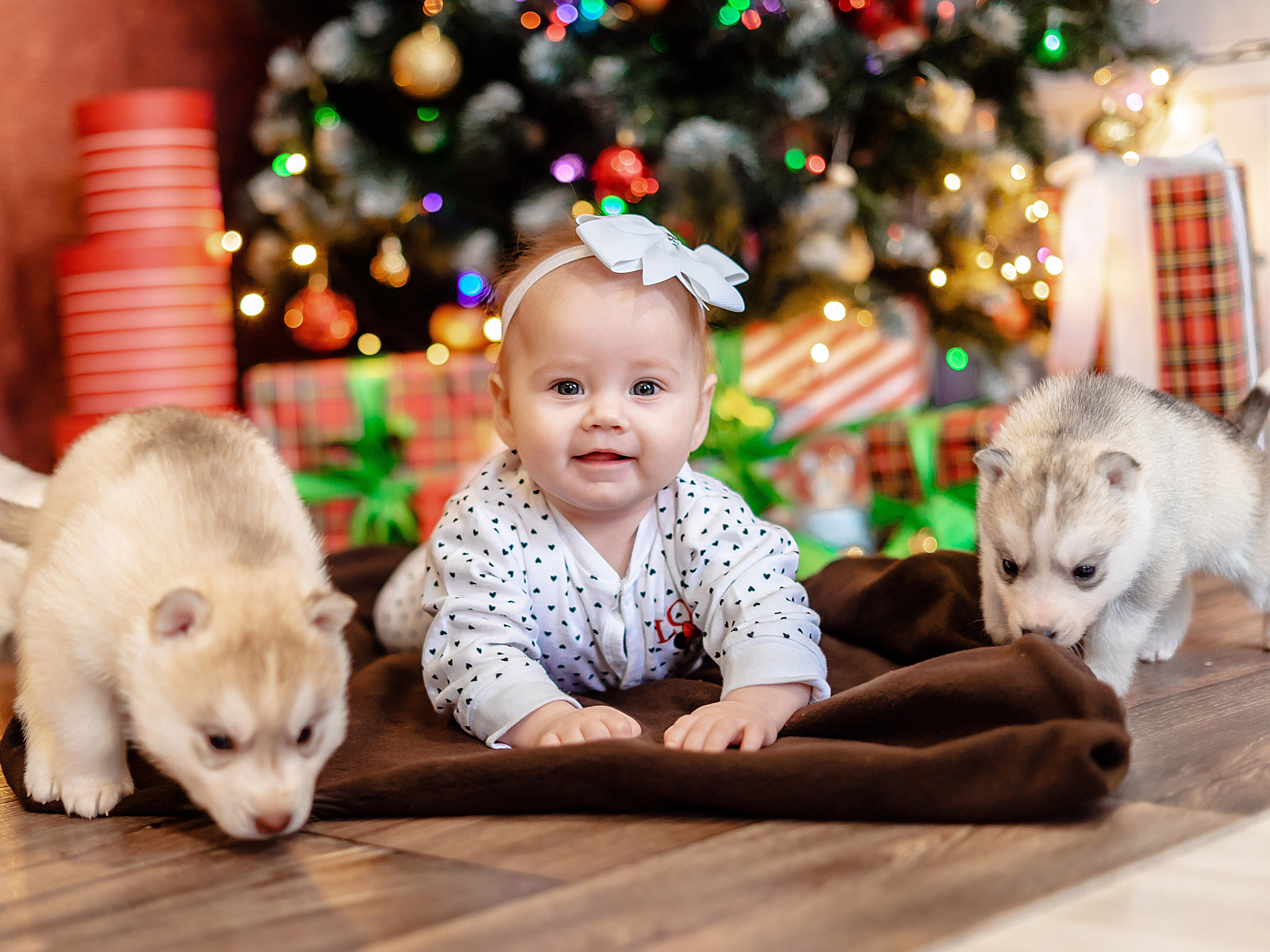 Детский проект с Хаски. Семейный и детский фотограф в Екатеринбурге и НевьянскеТимурова Алина