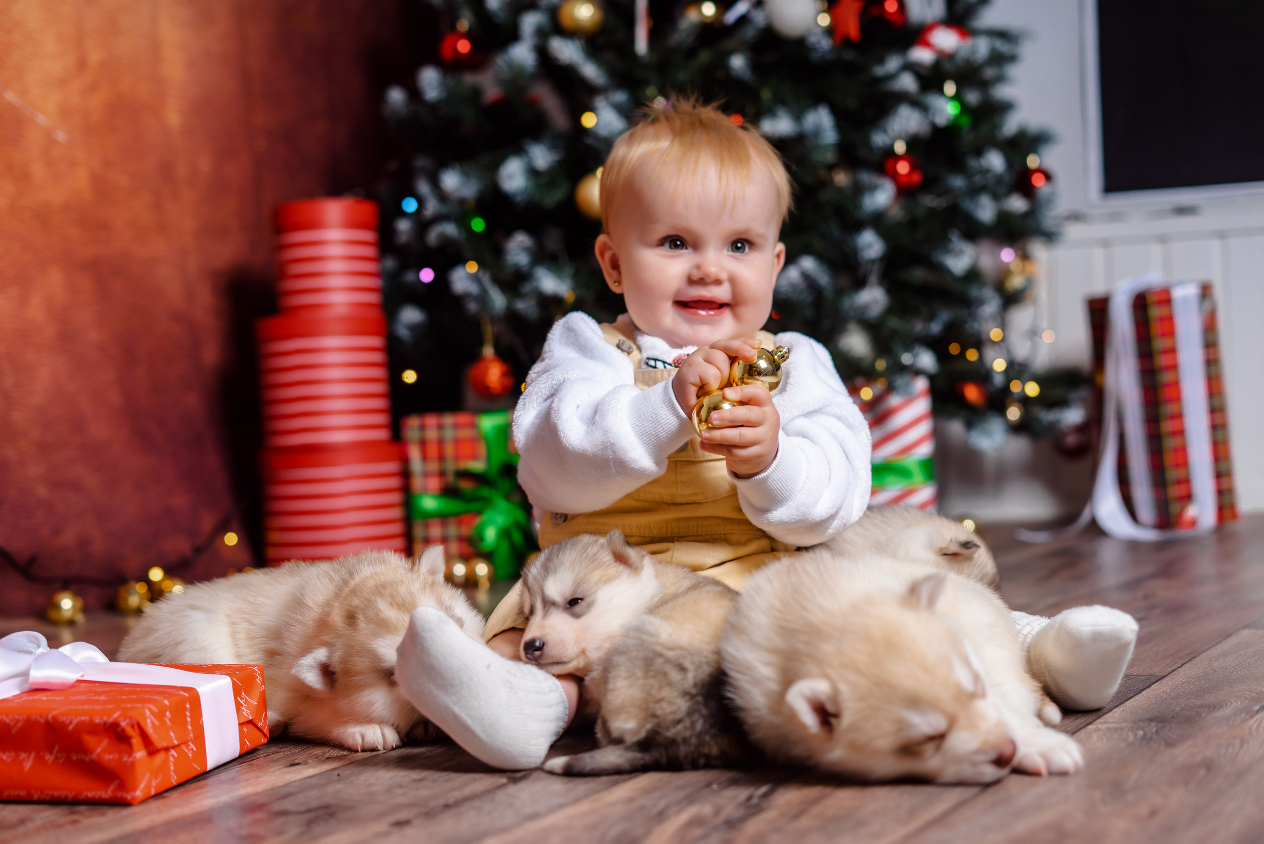Детский проект с Хаски. Семейный и детский фотограф в Екатеринбурге и НевьянскеТимурова Алина
