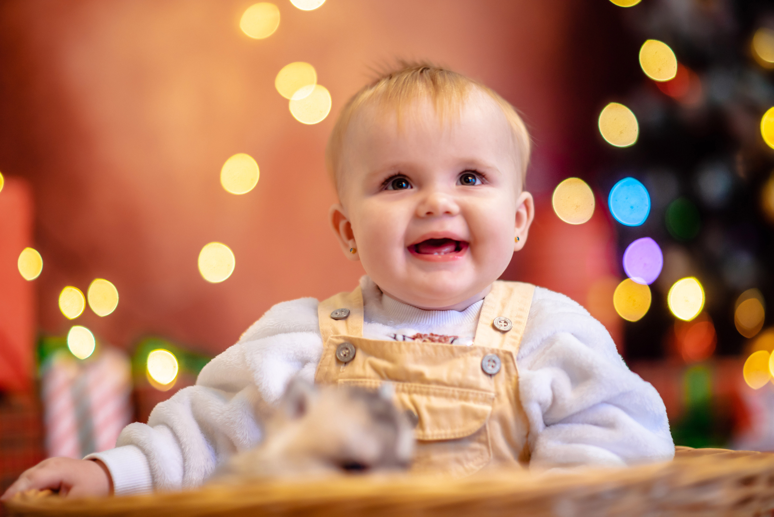 Детский проект с Хаски. Семейный и детский фотограф в Екатеринбурге и НевьянскеТимурова Алина
