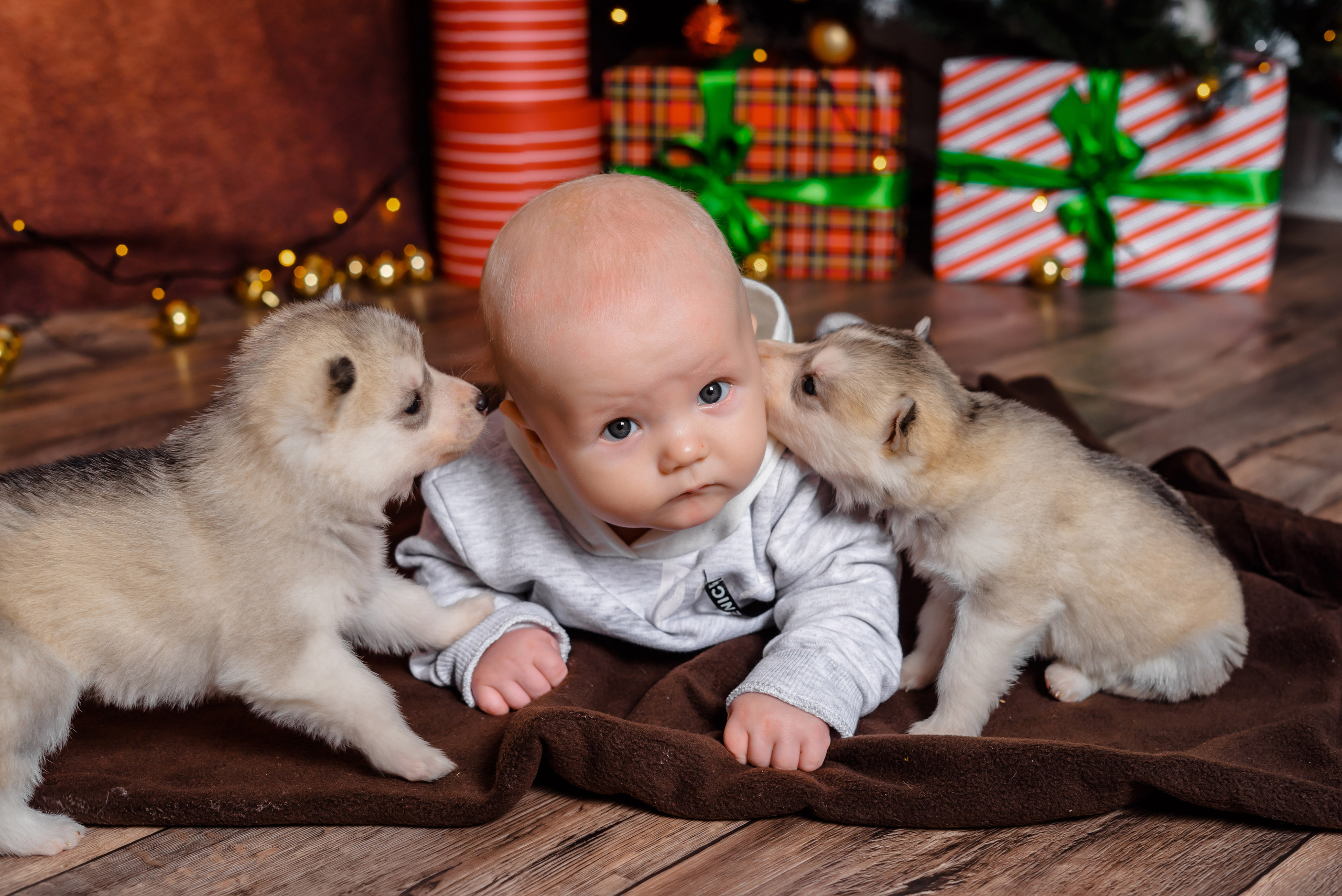 Детский проект с Хаски. Семейный и детский фотограф в Екатеринбурге и НевьянскеТимурова Алина
