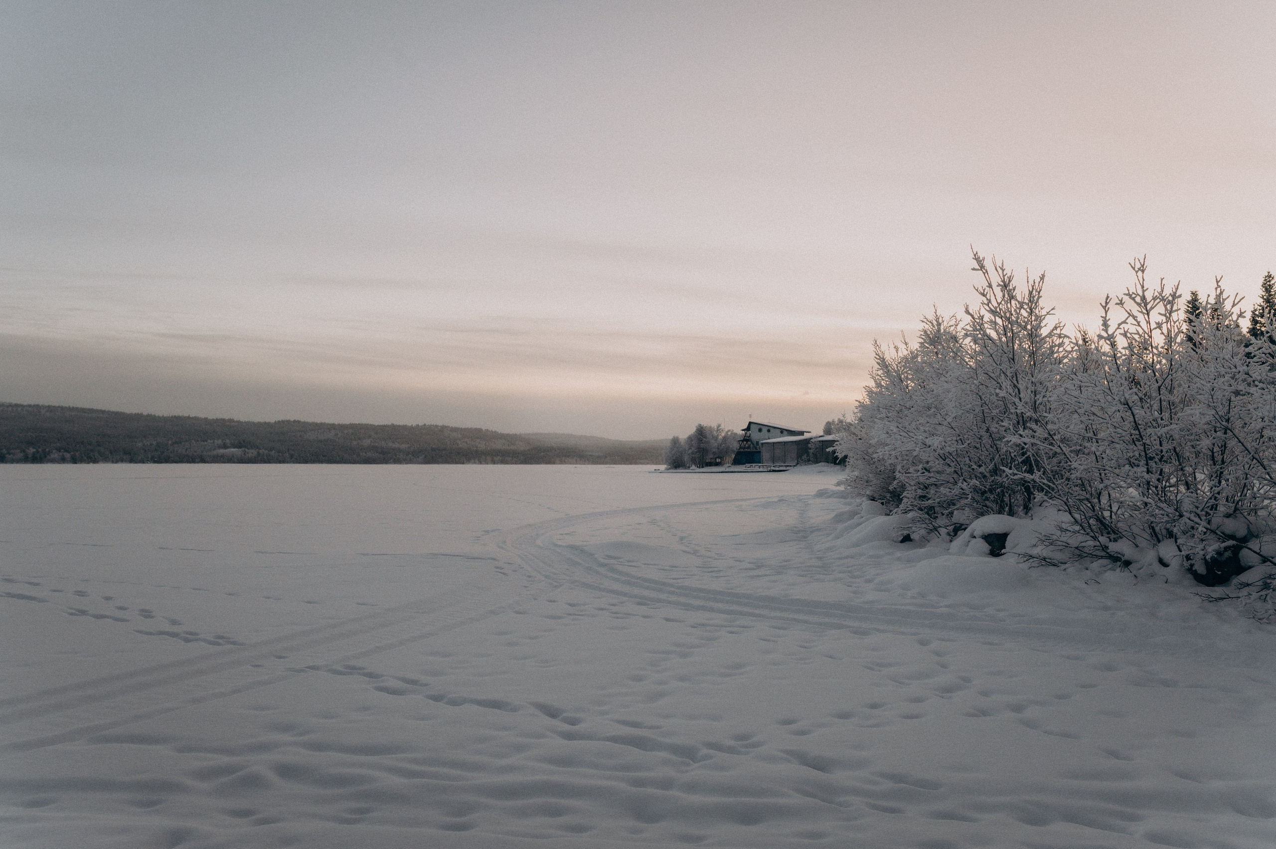 Хаски Терапия. Фотограф Наталья Могилевская Мурманск Териберка Сейдозеро Рыбачий
