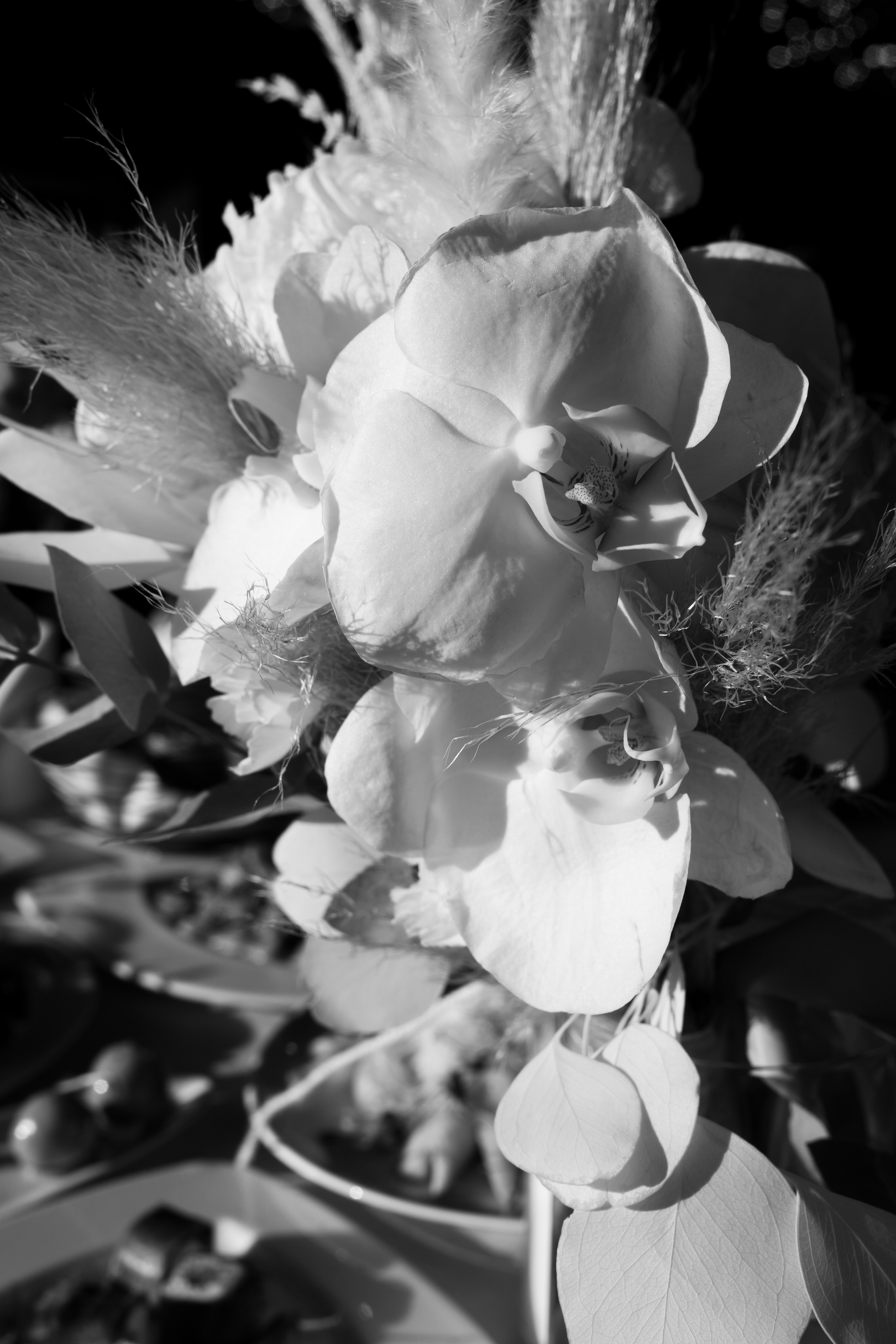 Санкт-Петербург. Свадебный фотограф-видеограф в Архангельске. Фотохудожница Lana Contra