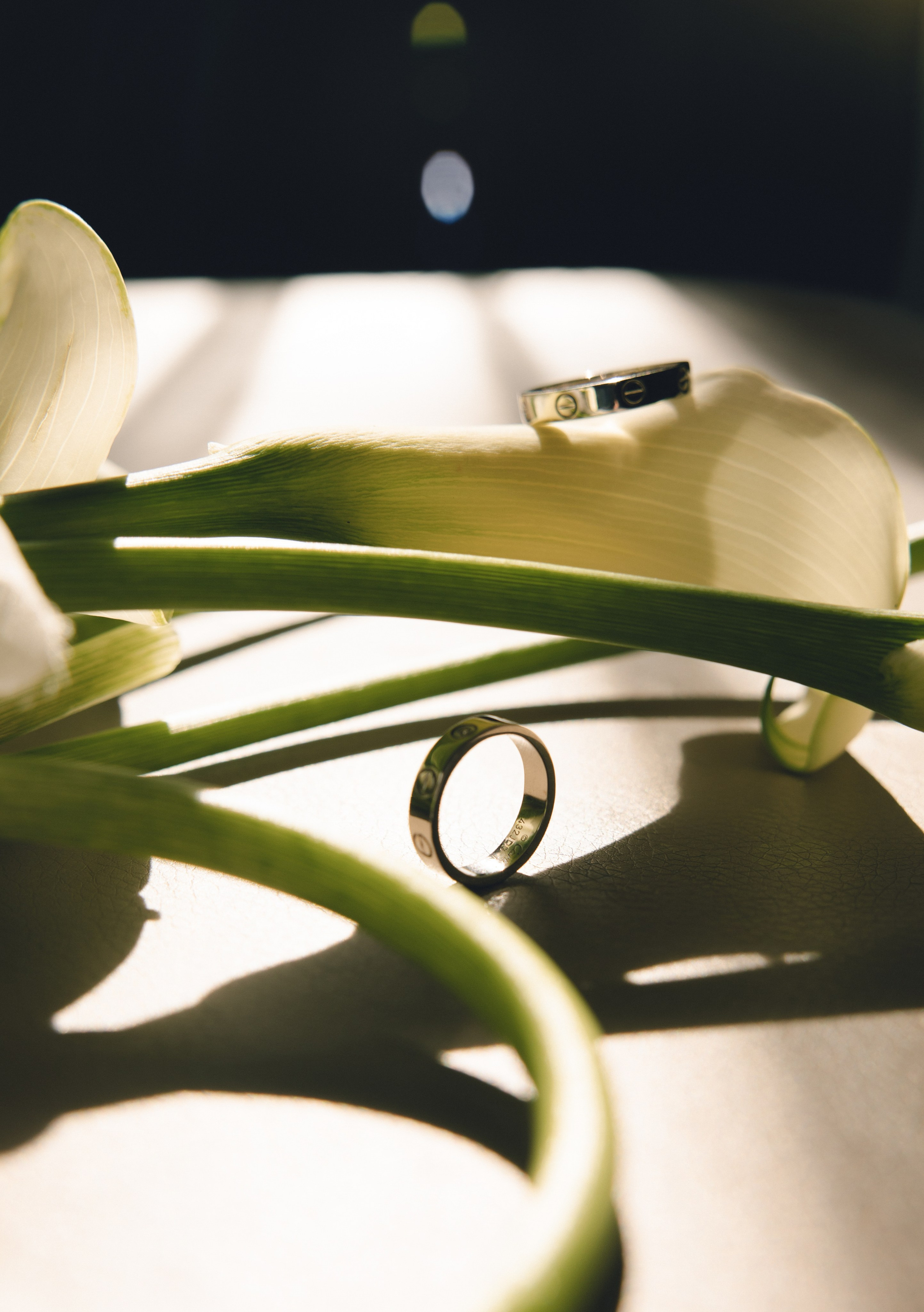 Без тебя душа болела