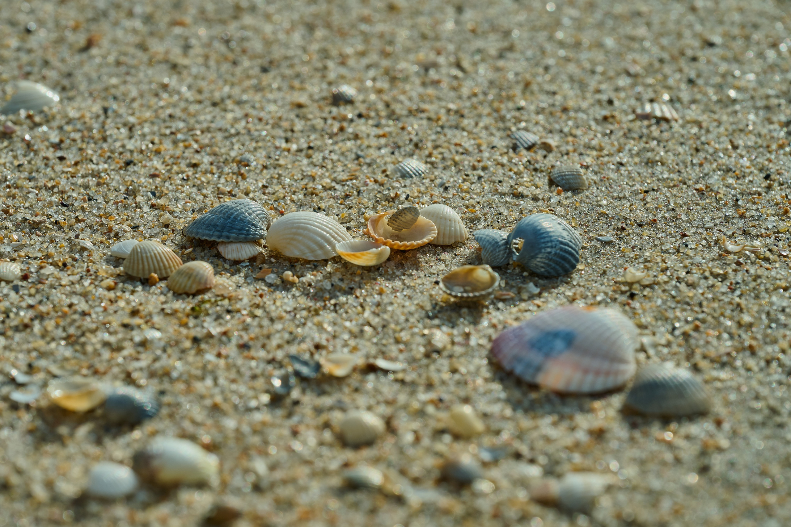 Мелитополь. Фотопроект «Территории»