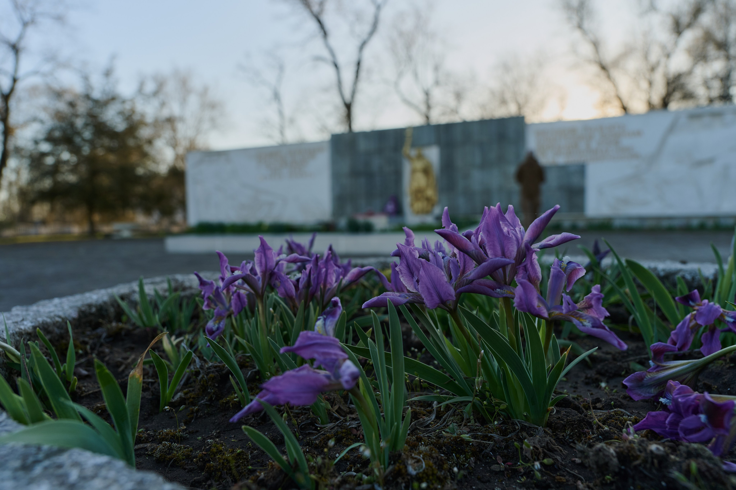 Мелитополь. Фотопроект «Территории»