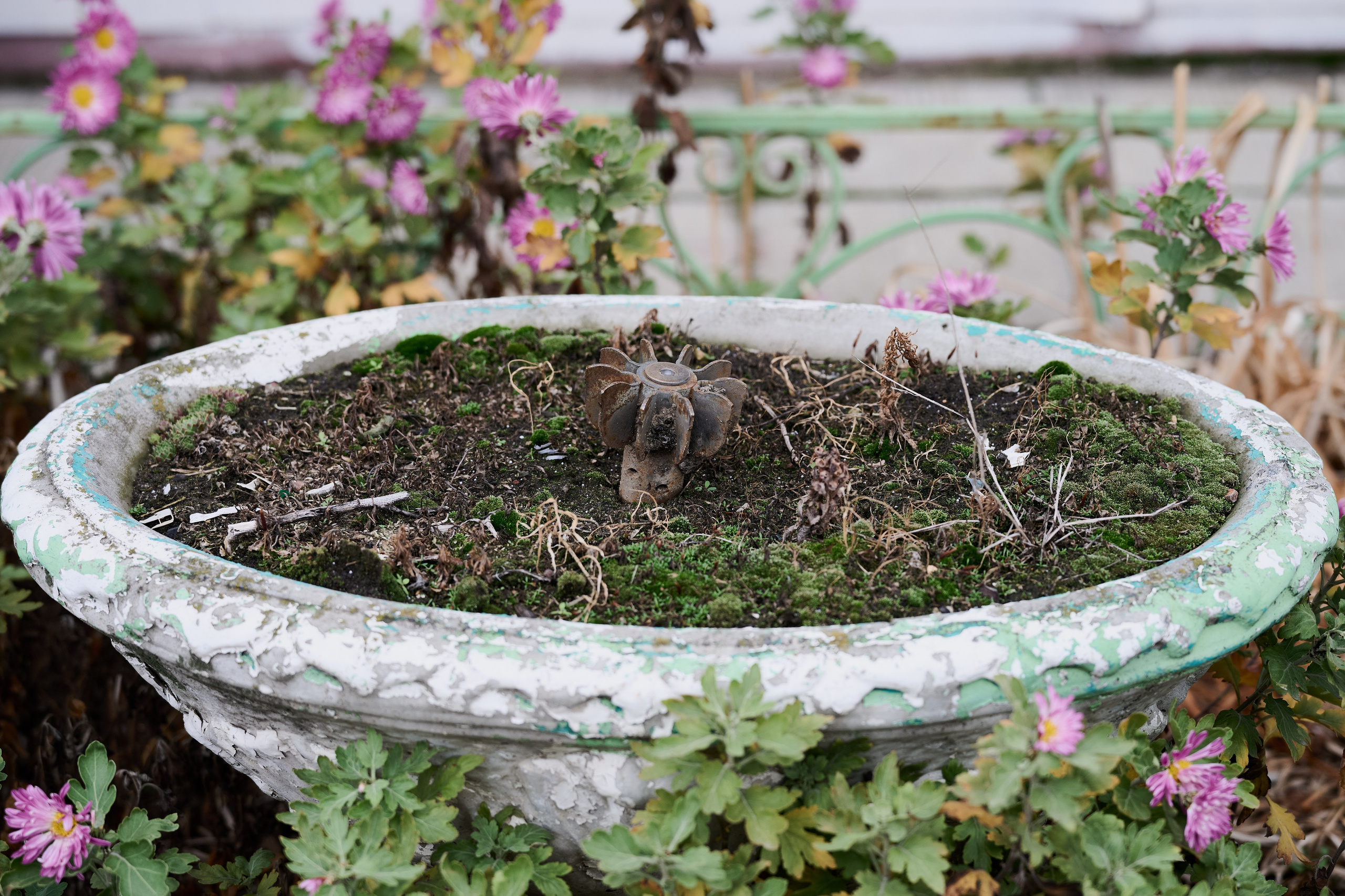 Рубежное. Луганская область. Фотопроект «Территории»