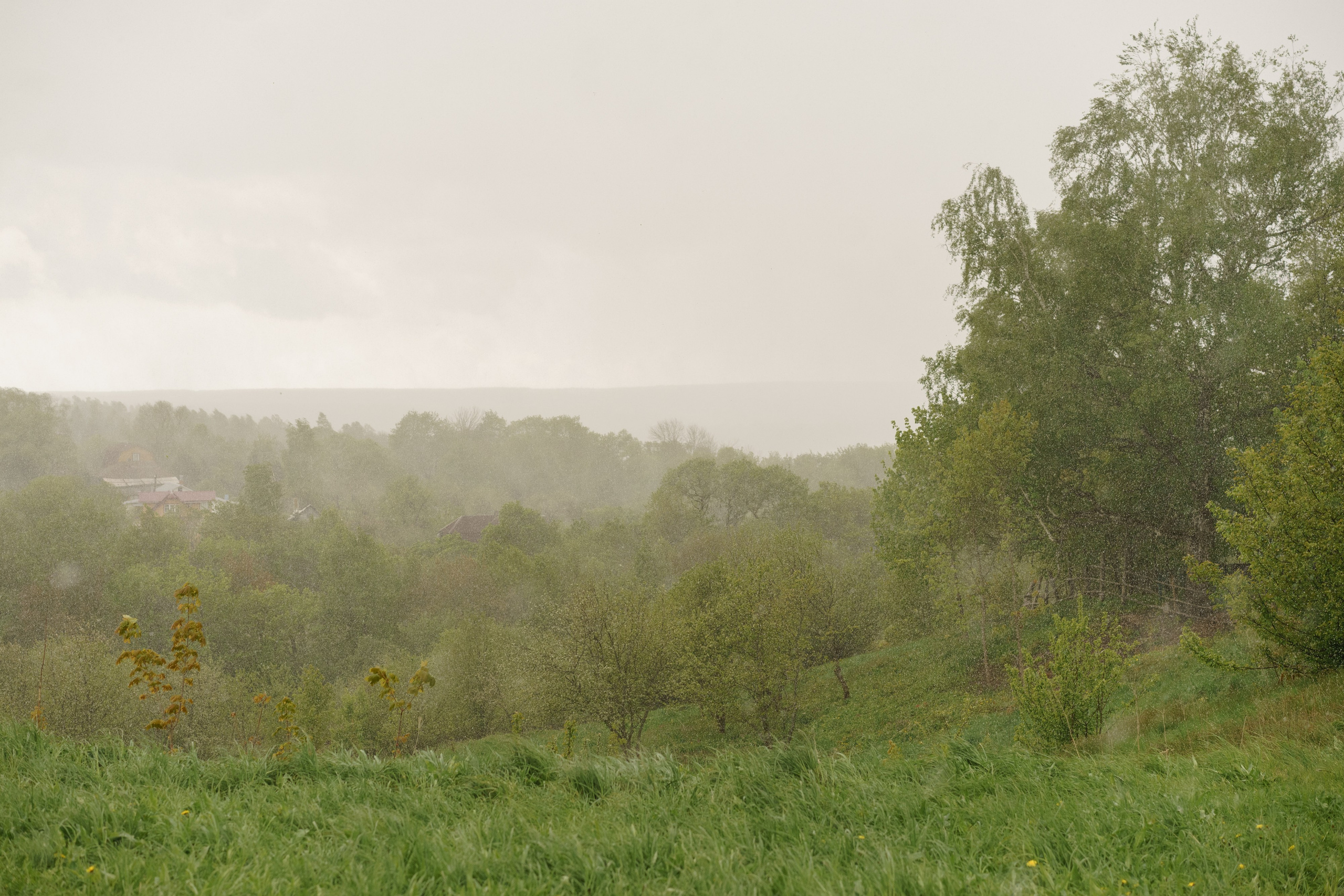 Школа счастья Ильи Даньшина. Лиза Фирстова — самый добрый фотограф